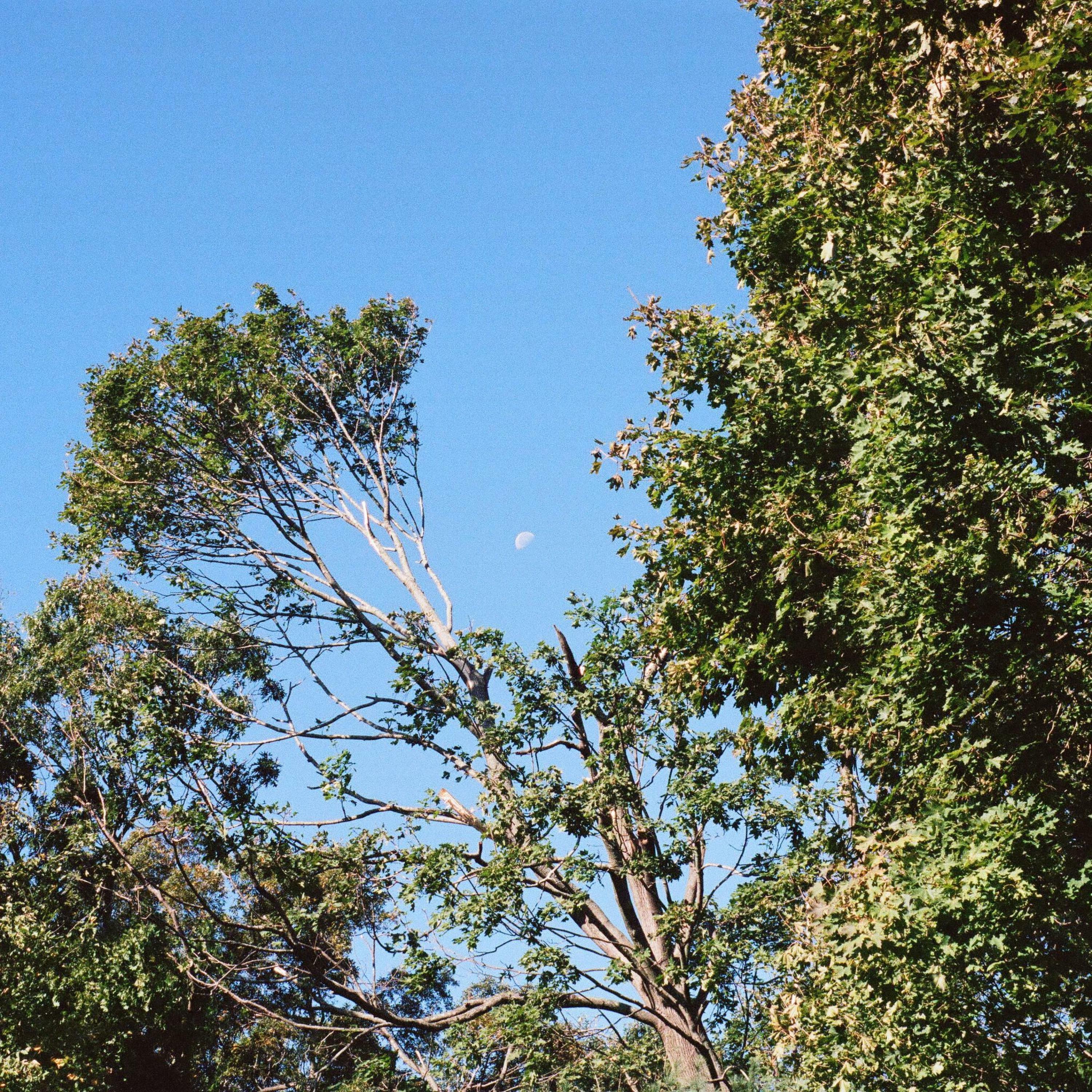 Track Image