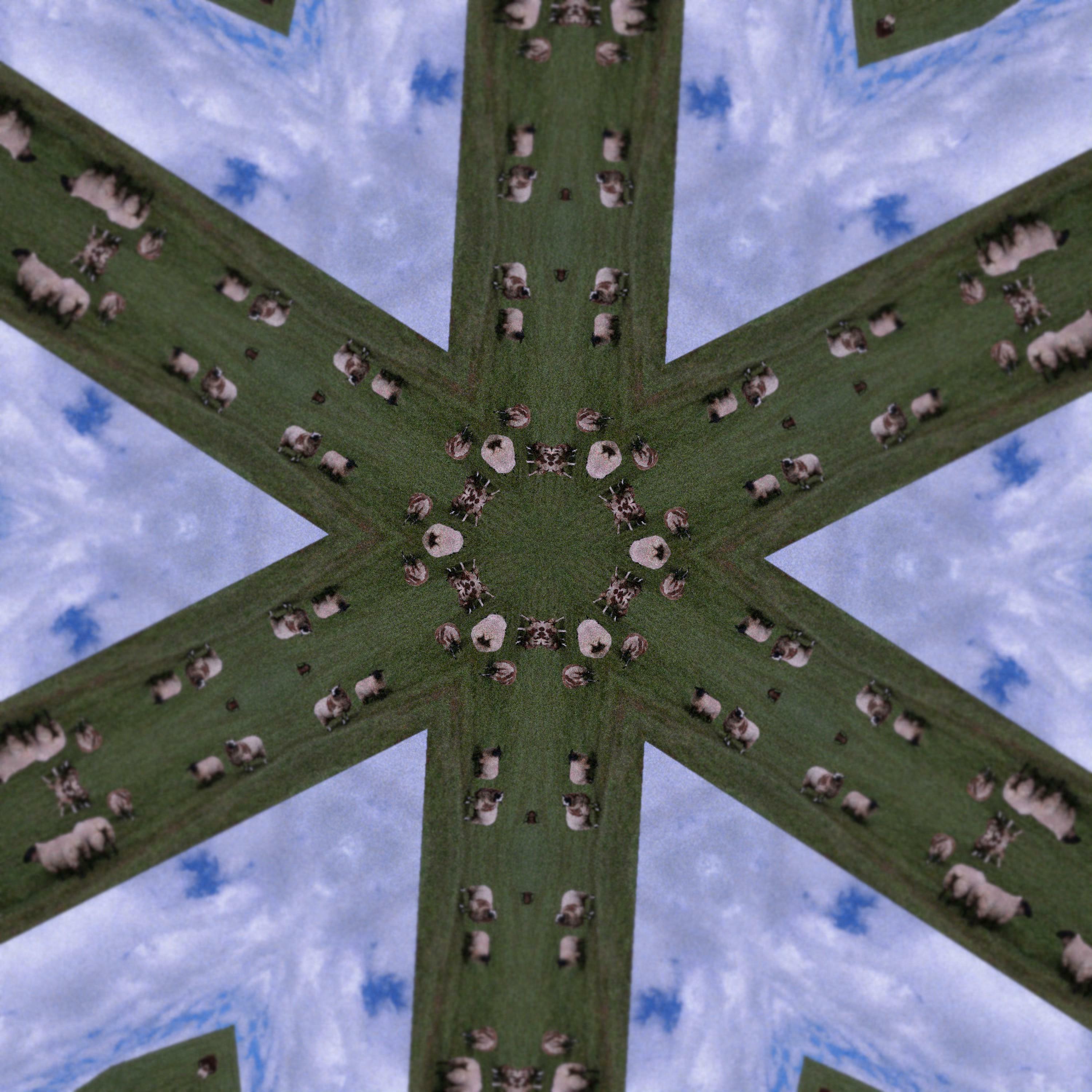 Track Image
