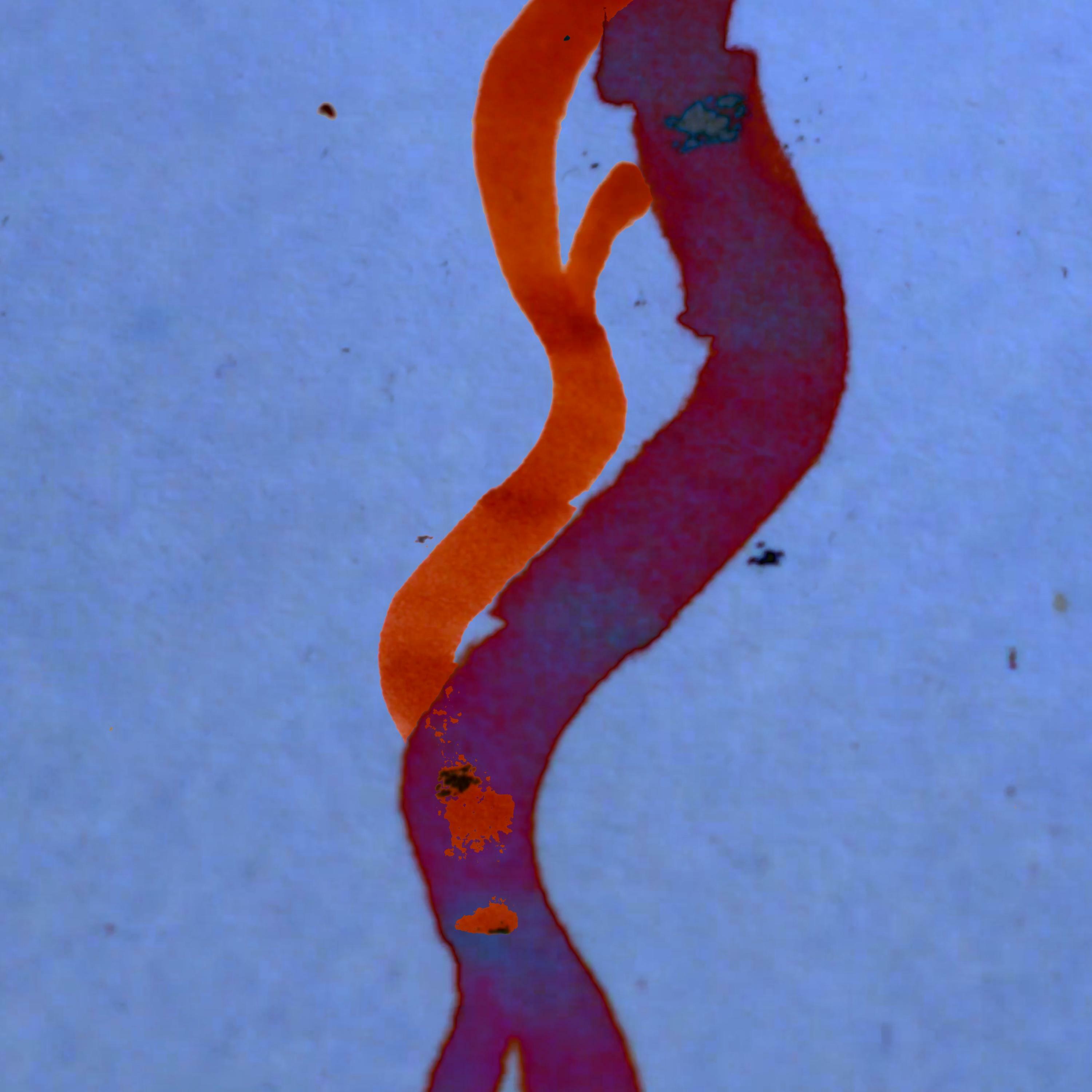 Track Image