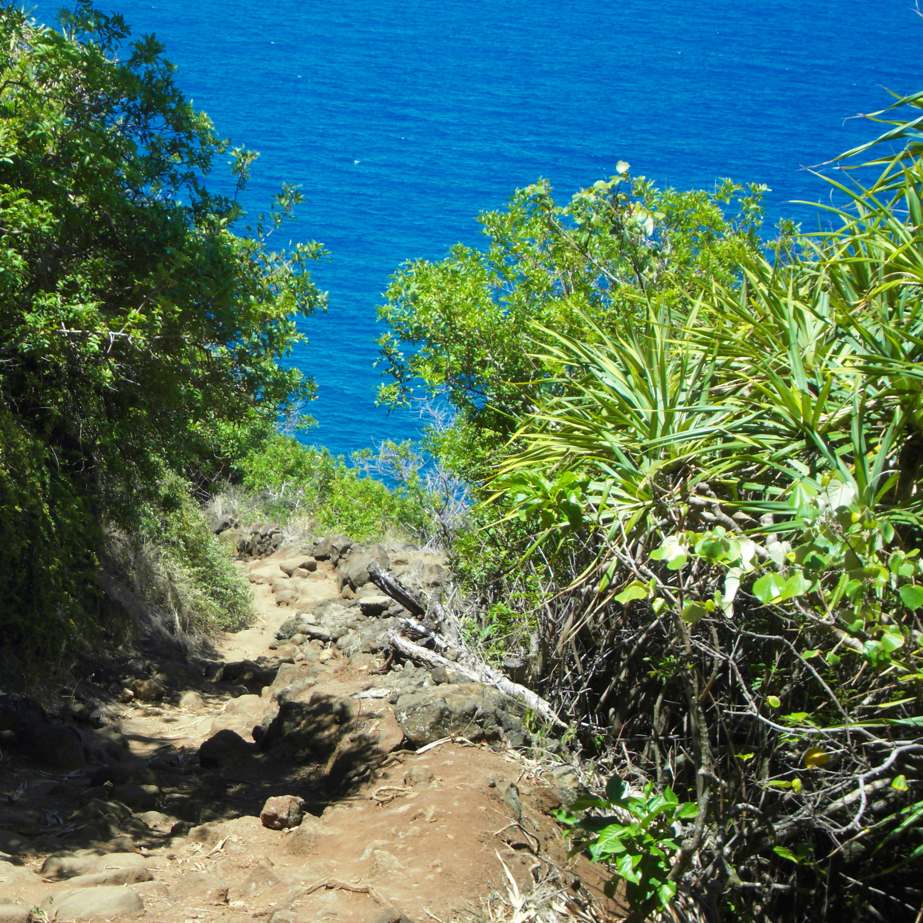 Track Image