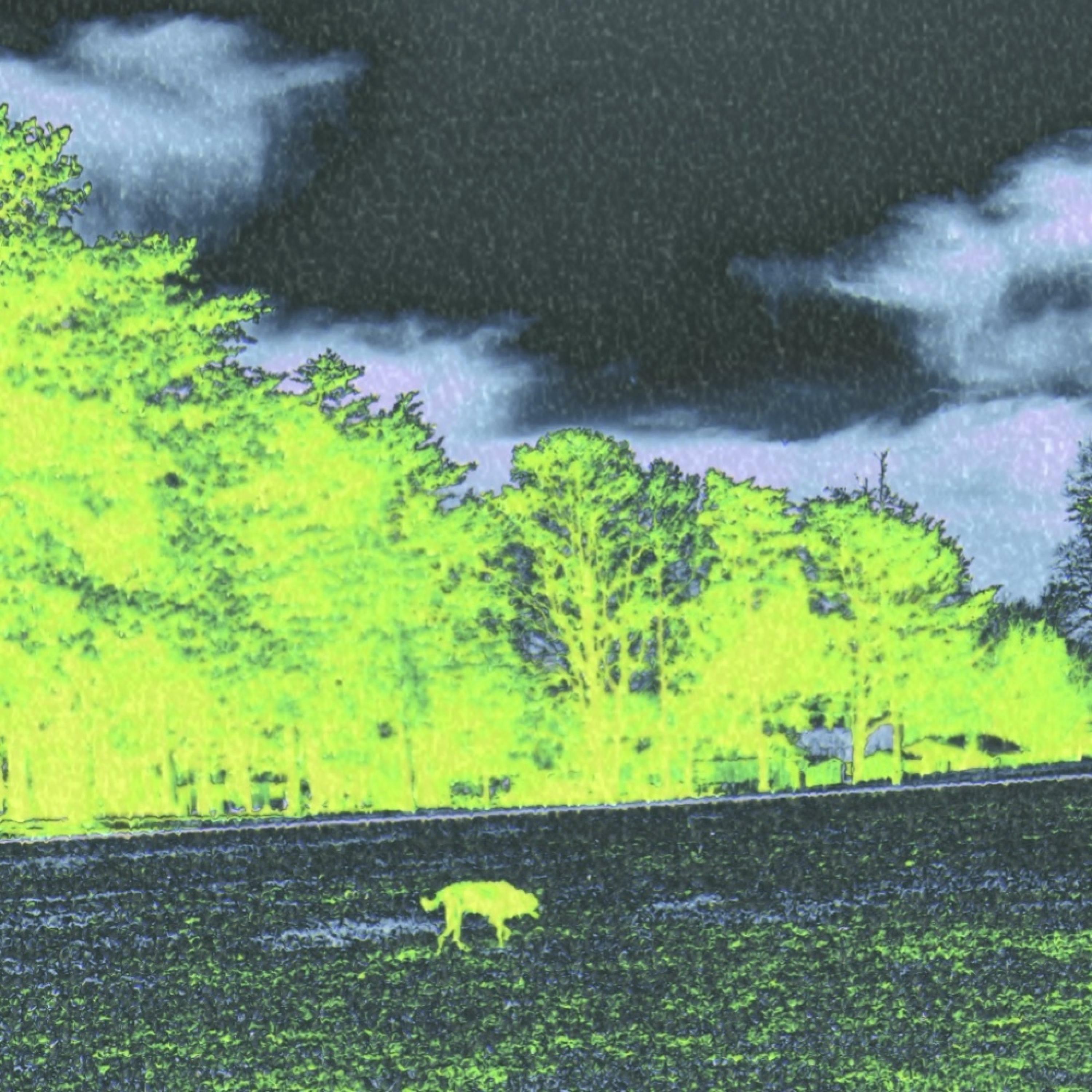 Track Image