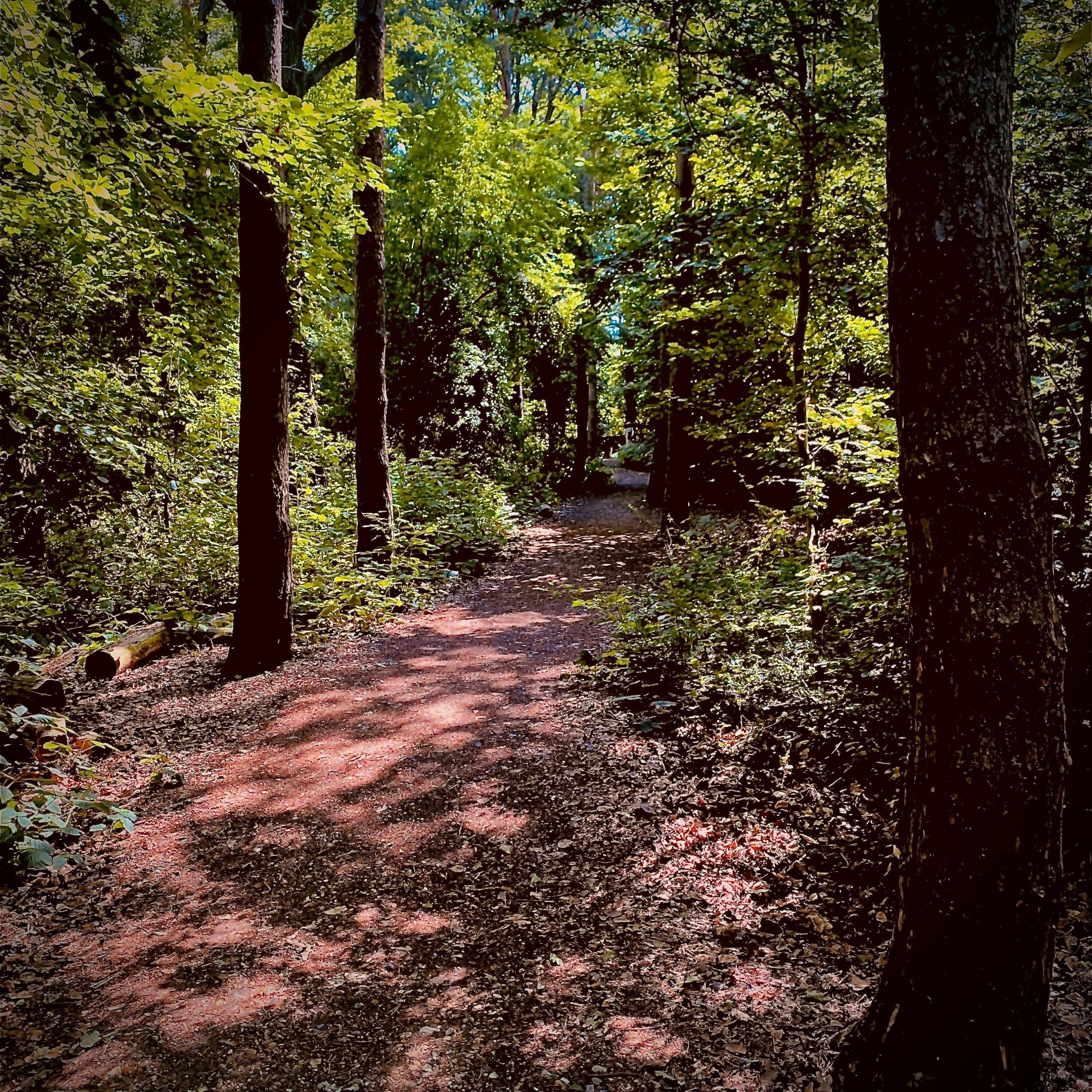 Track Image