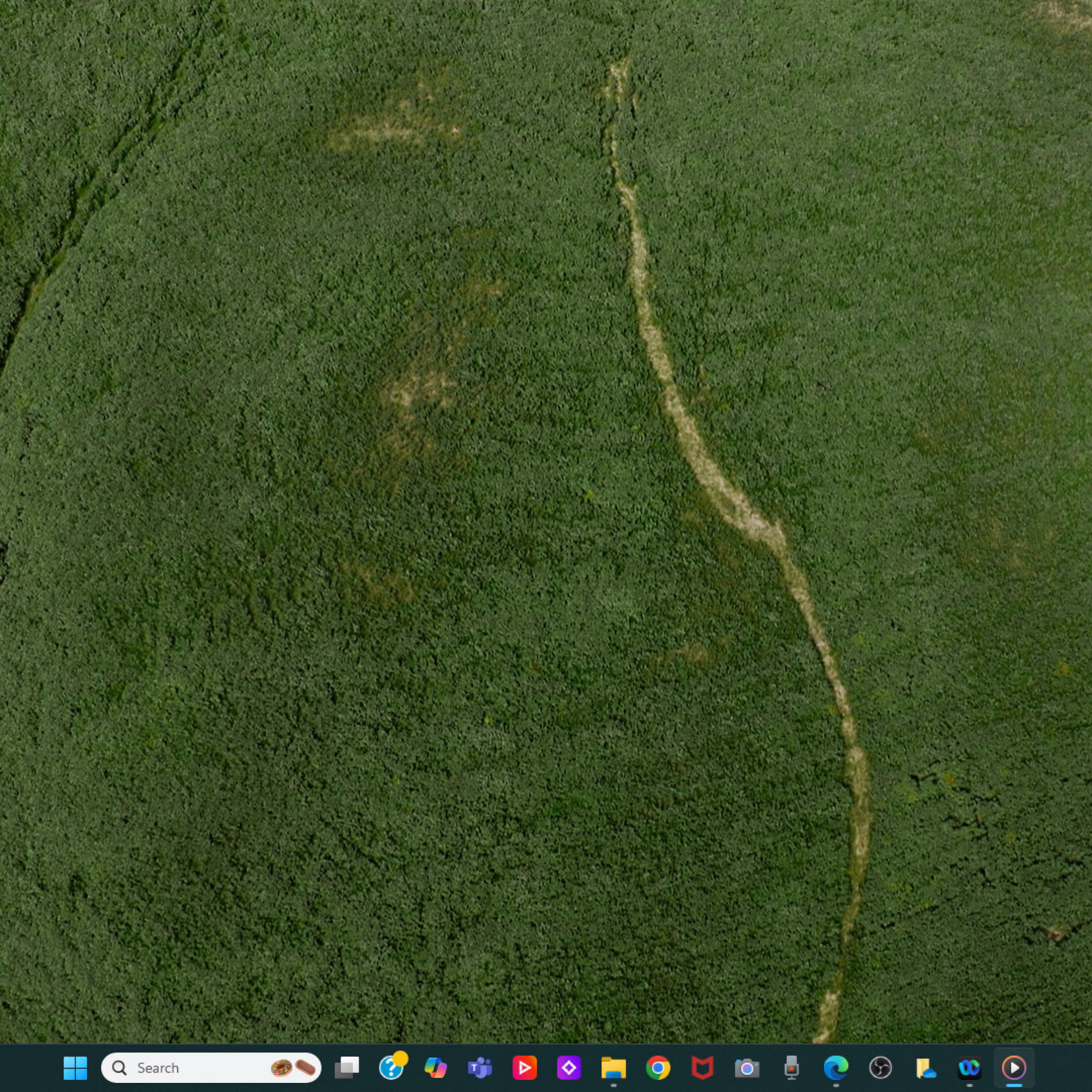 Track Image