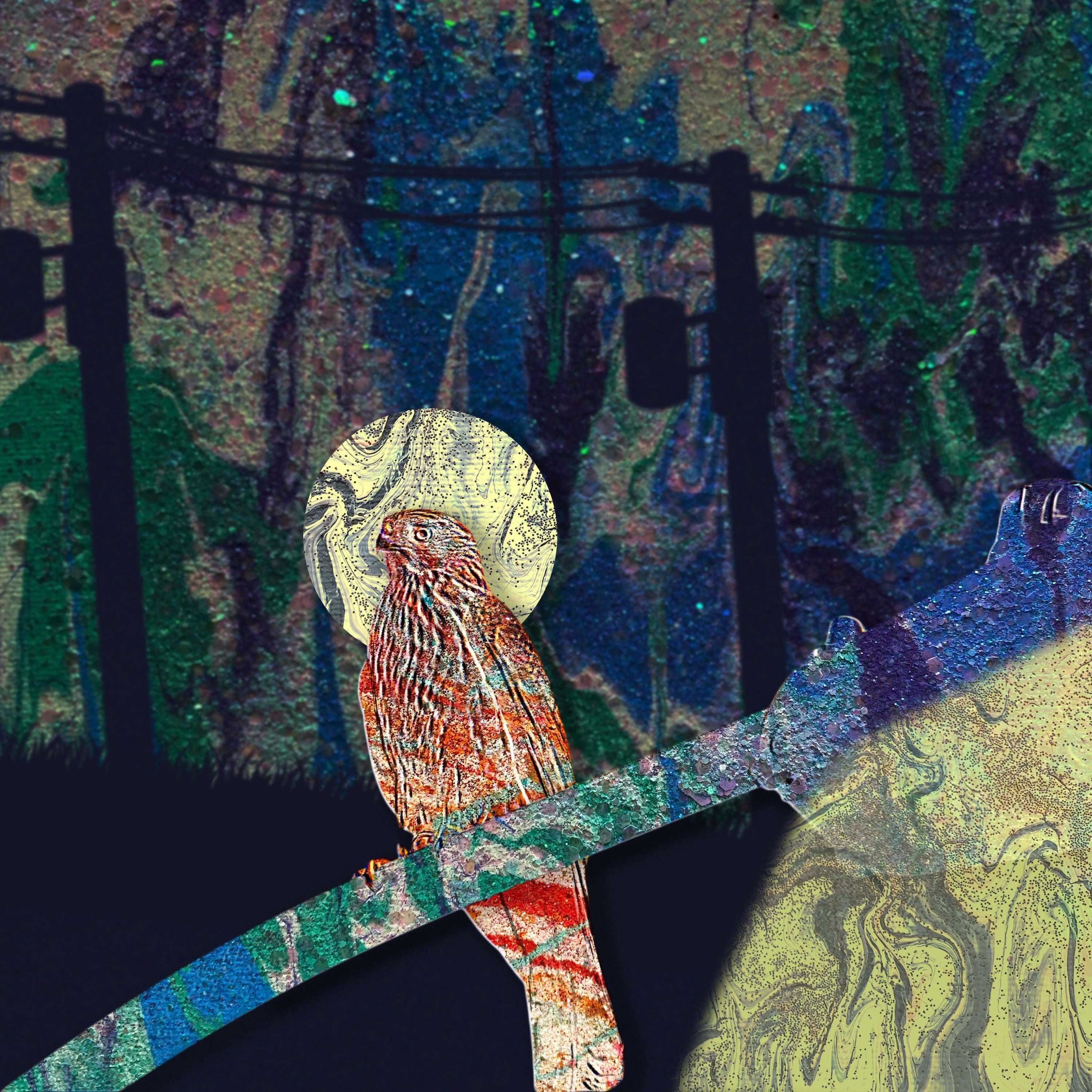 Track Image