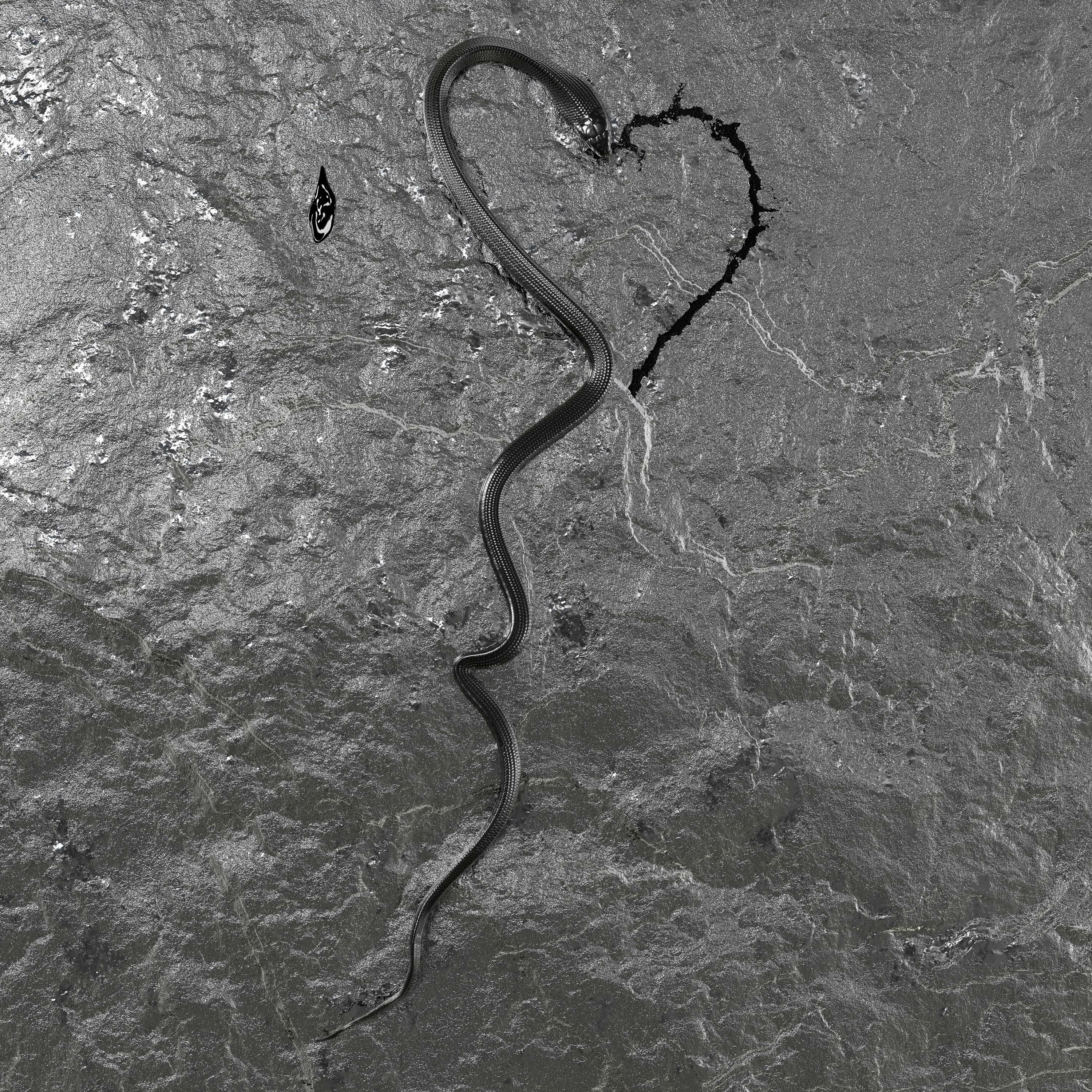 Track Image