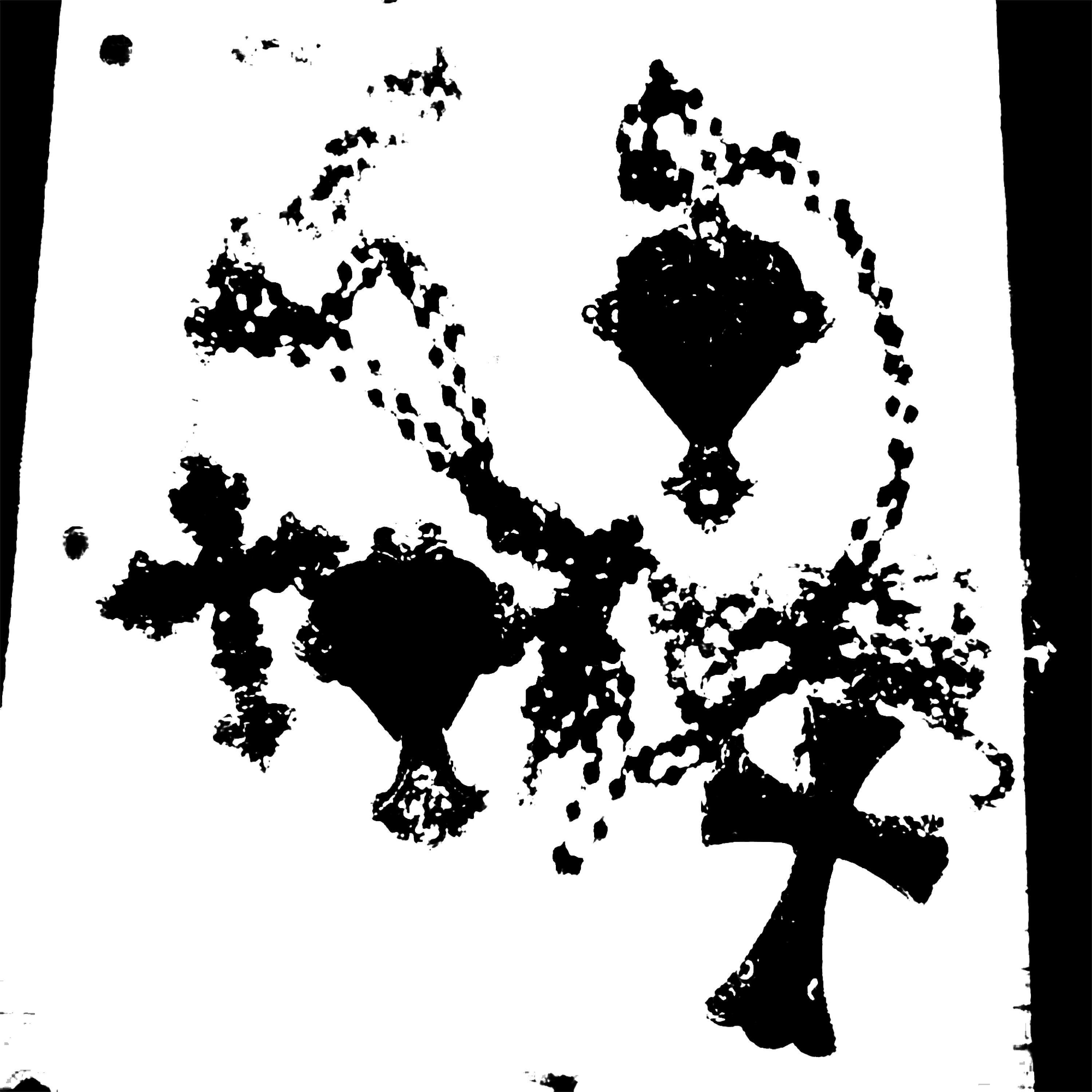 Track Image