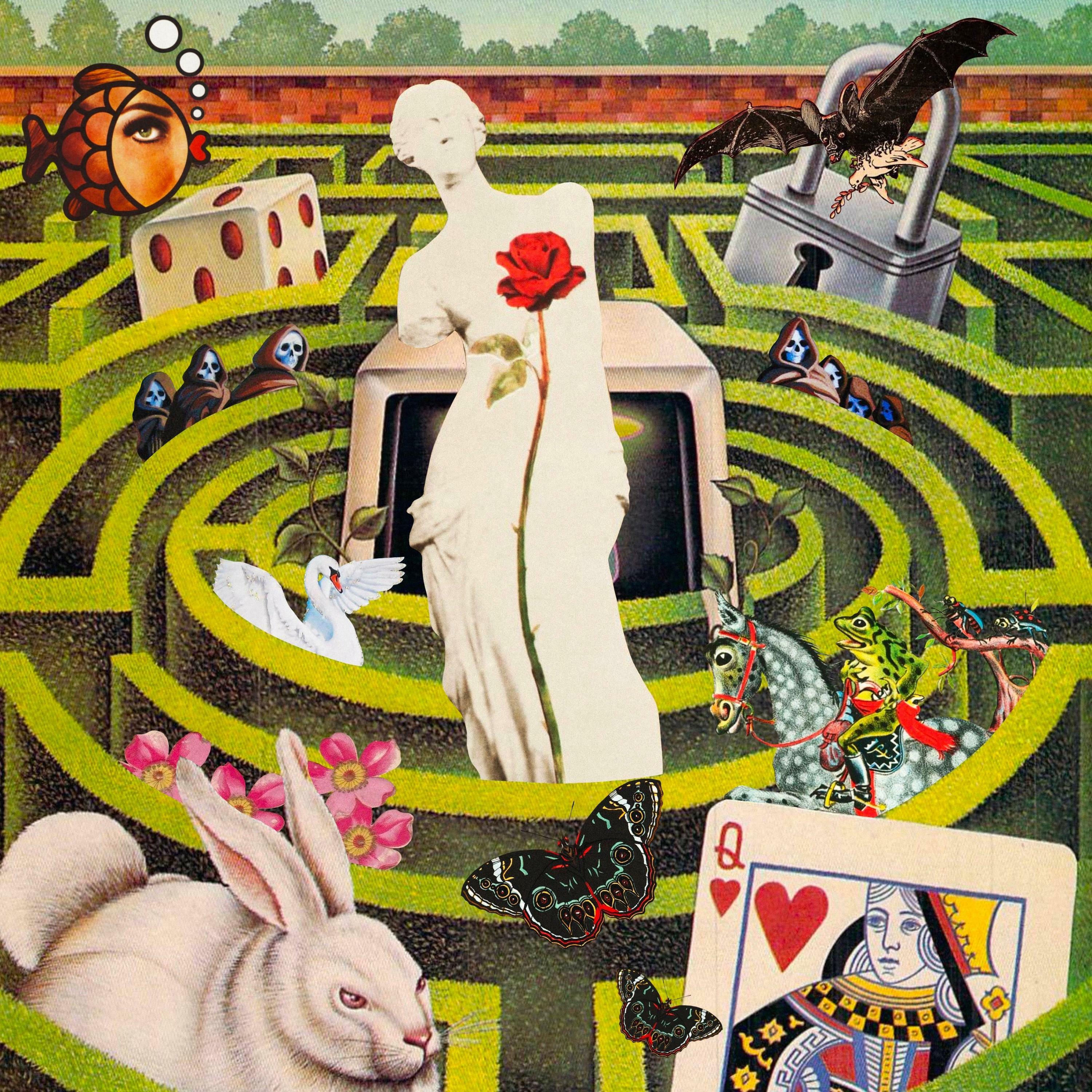 Track Image