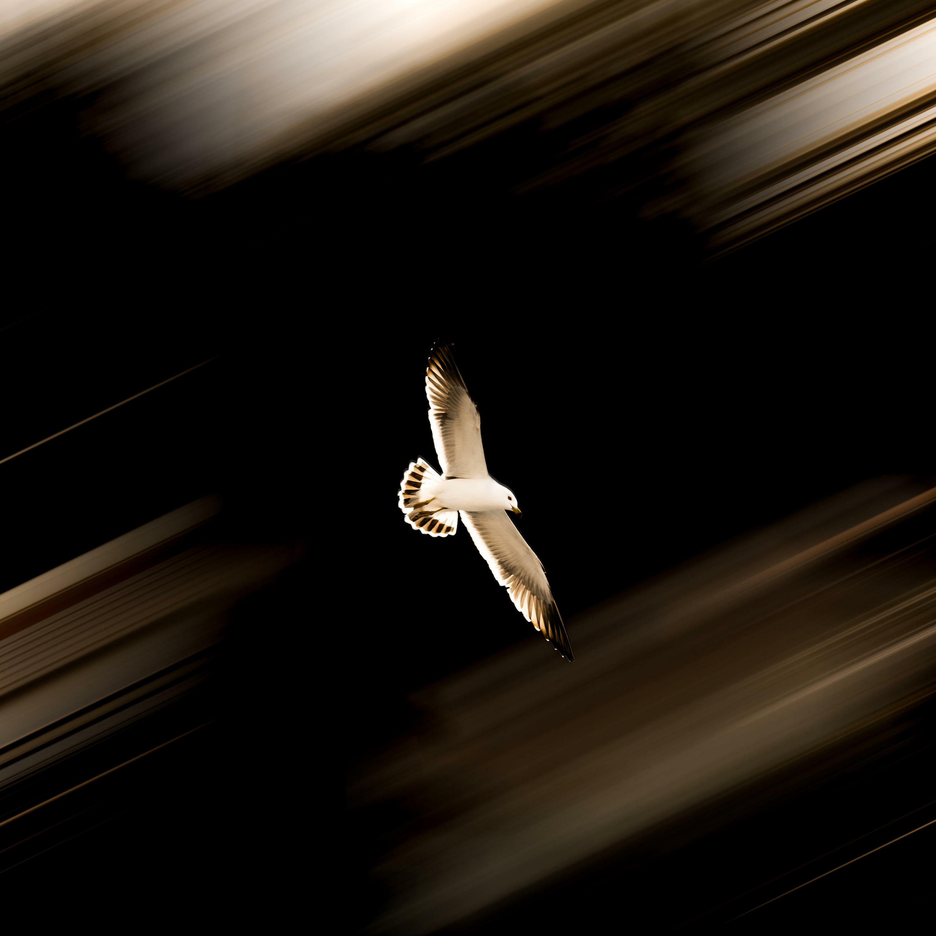 Track Image