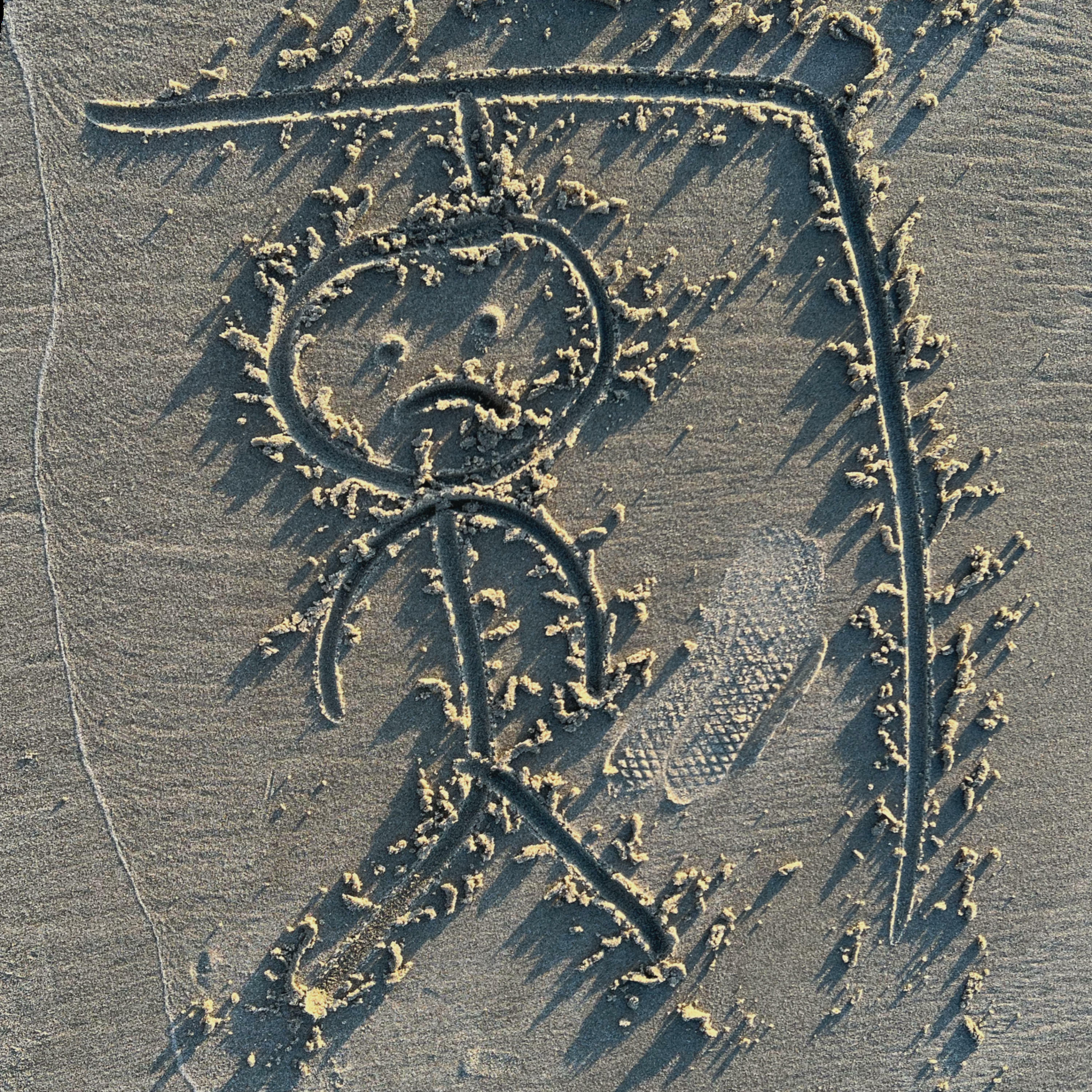 Track Image