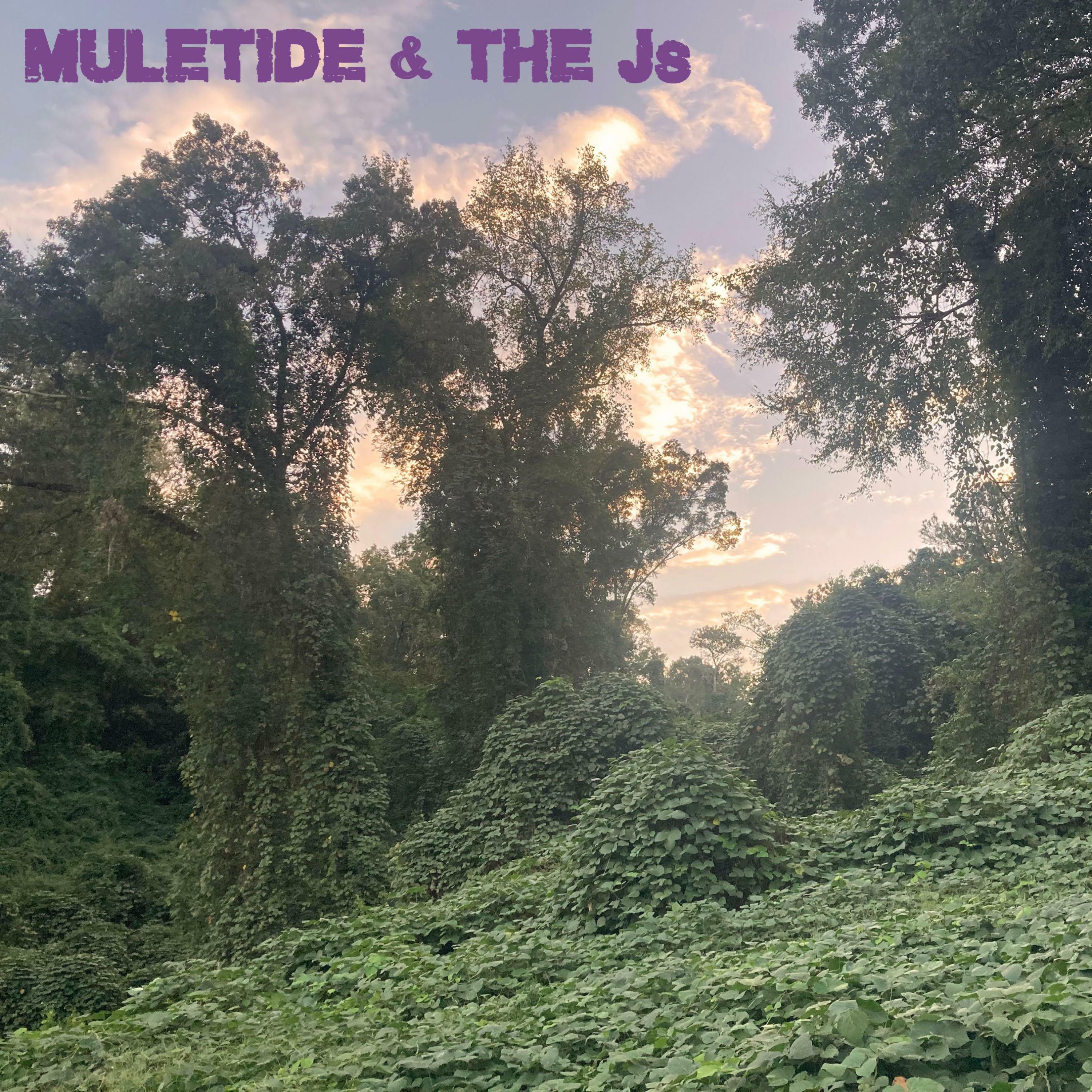 Track Image