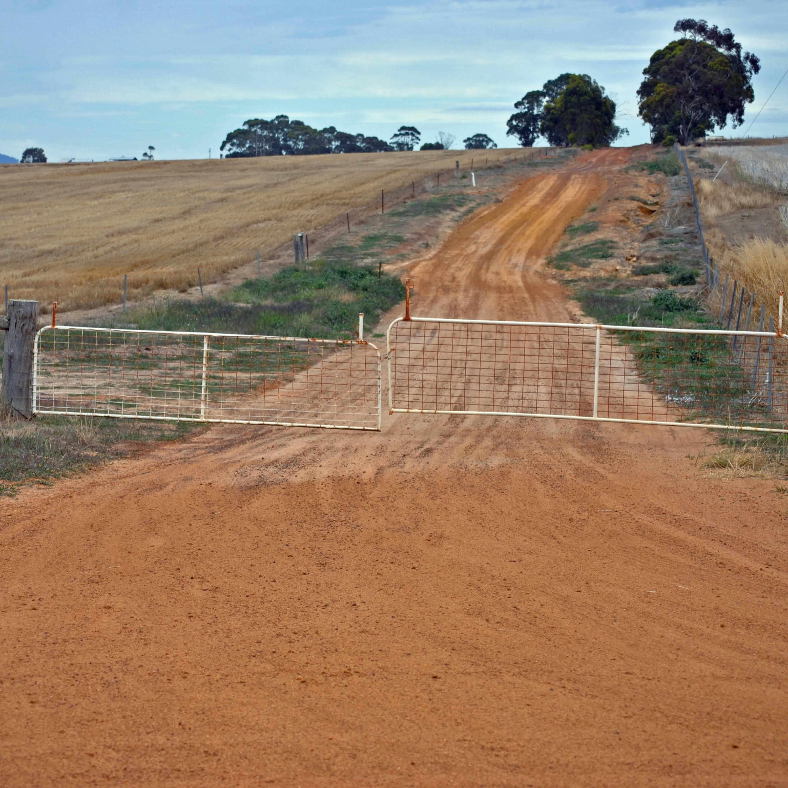 Track Image