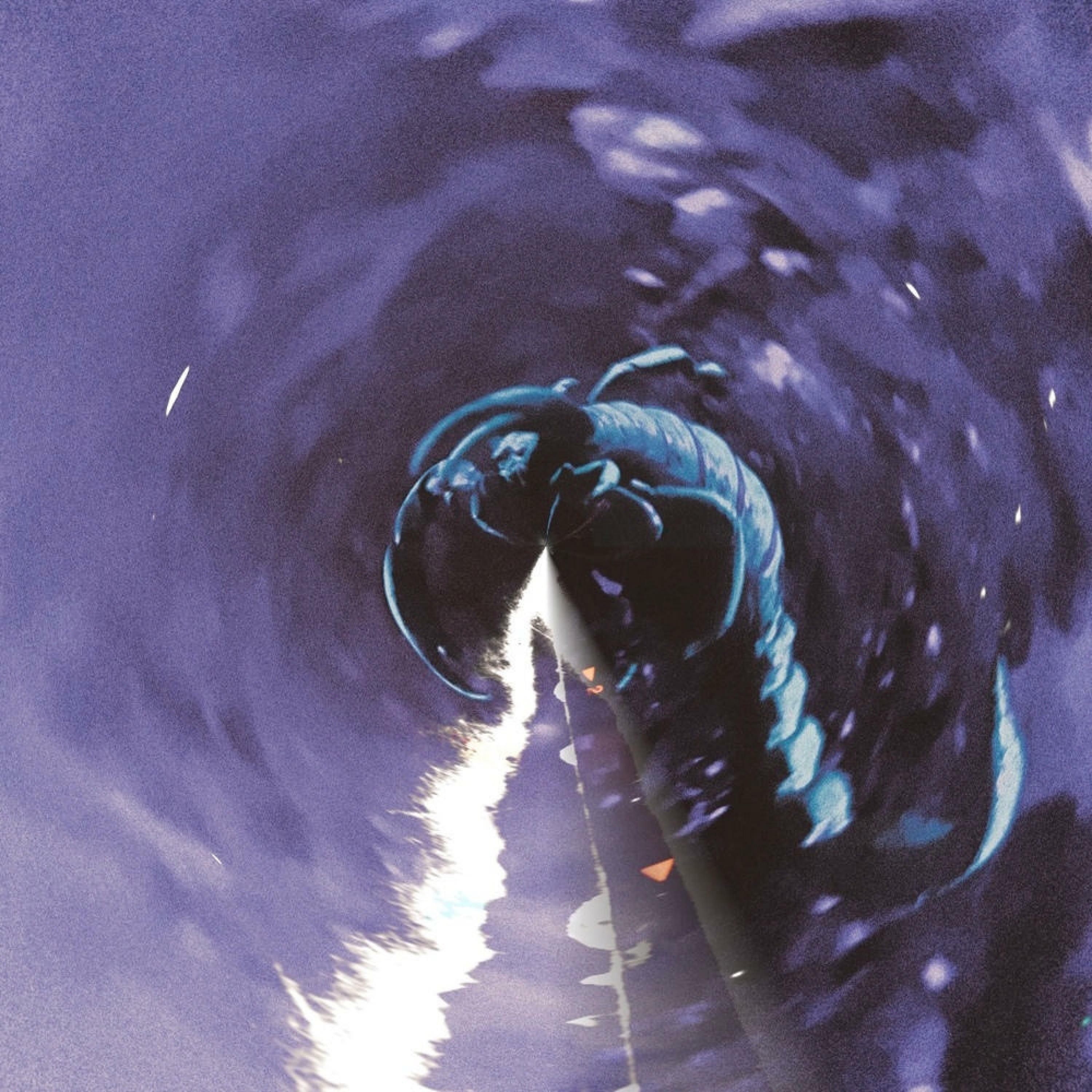 Track Image