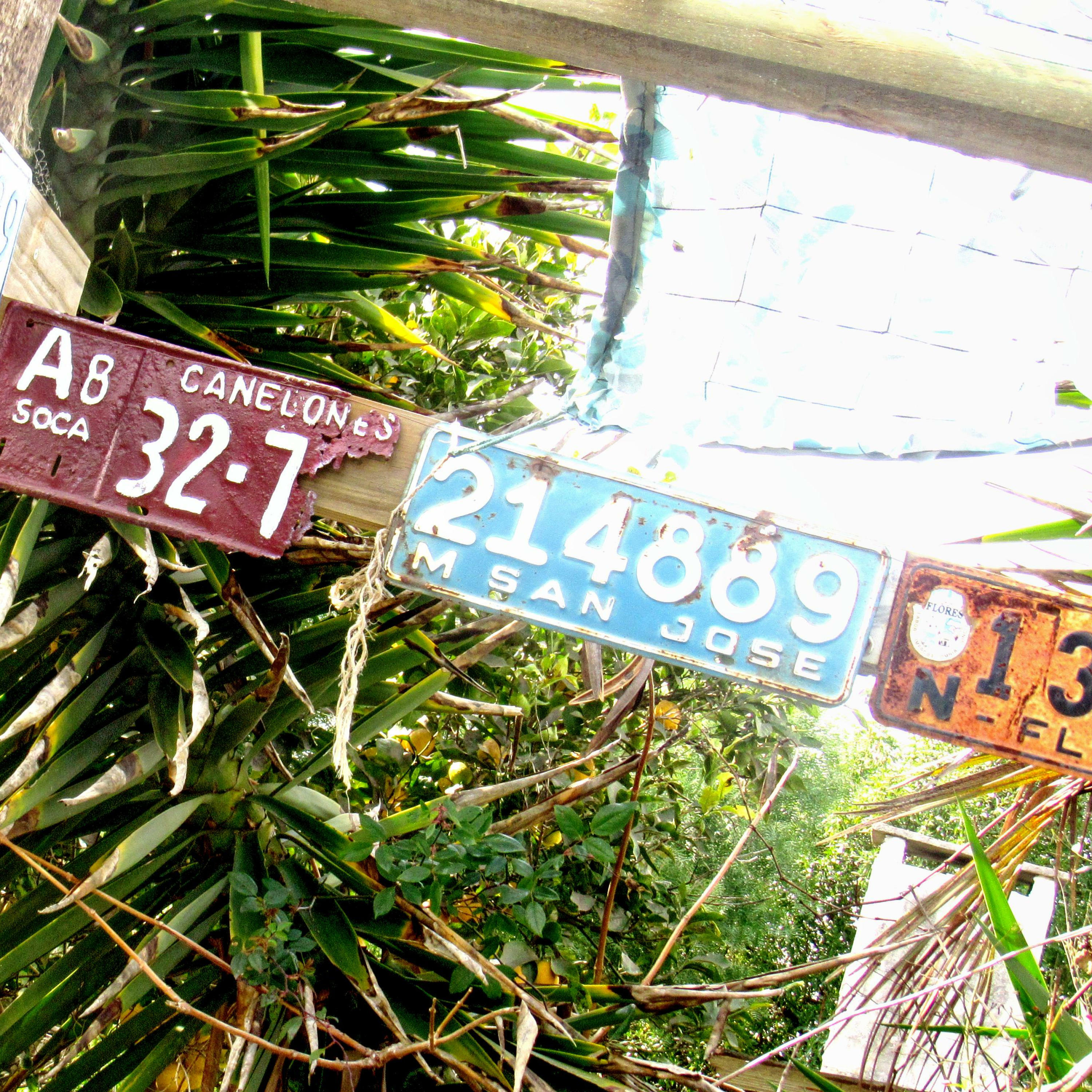 Track Image