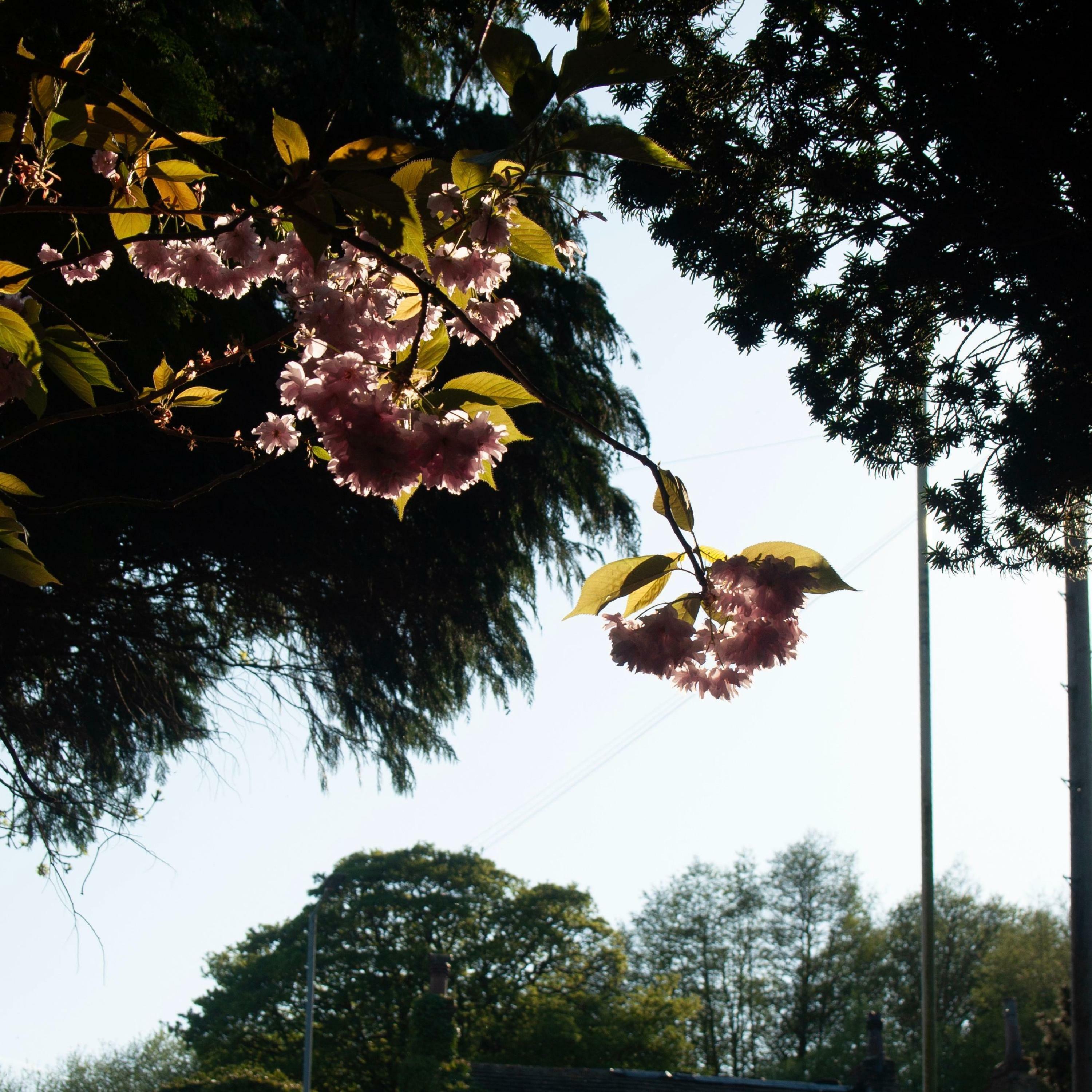 Track Image