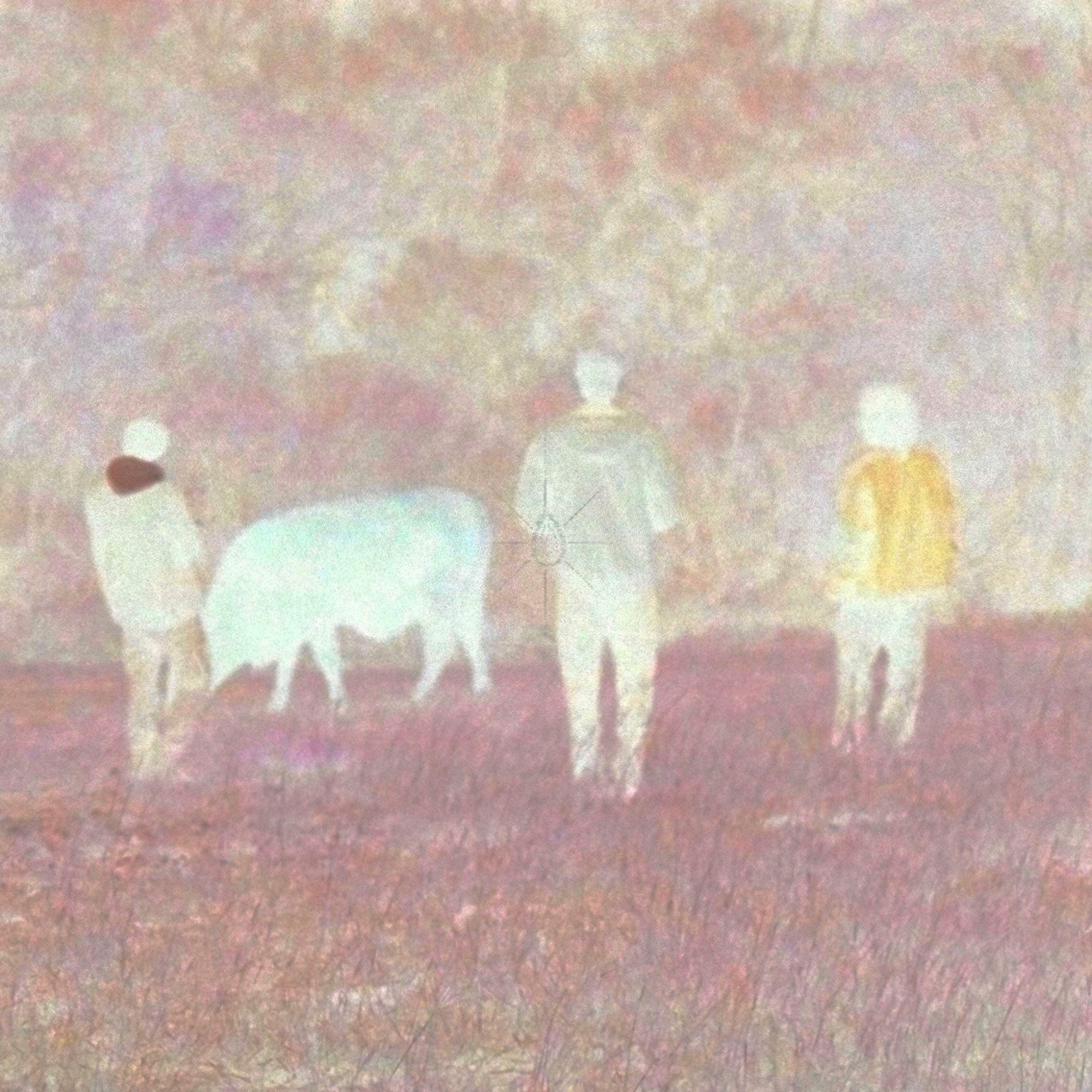 Track Image
