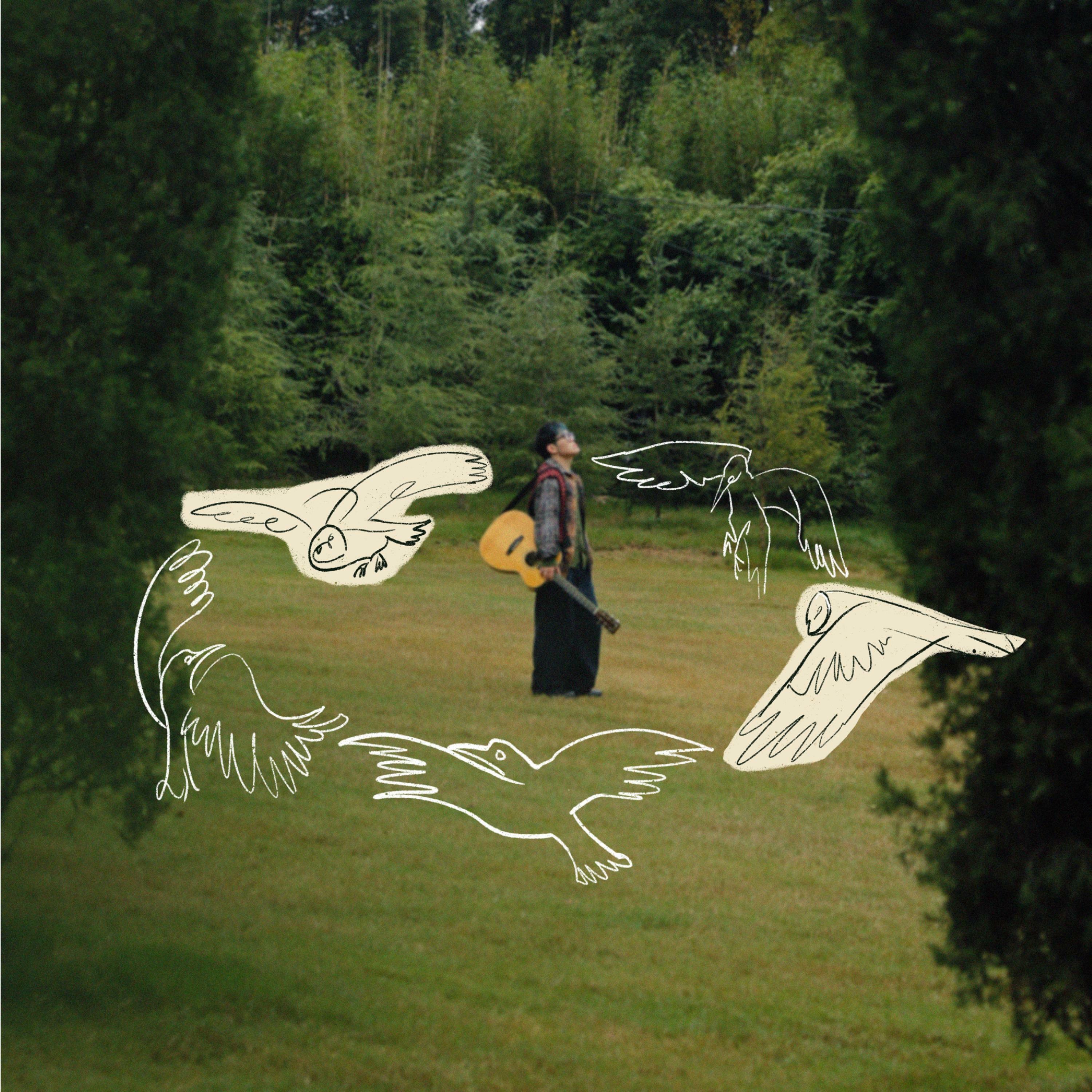 Track Image