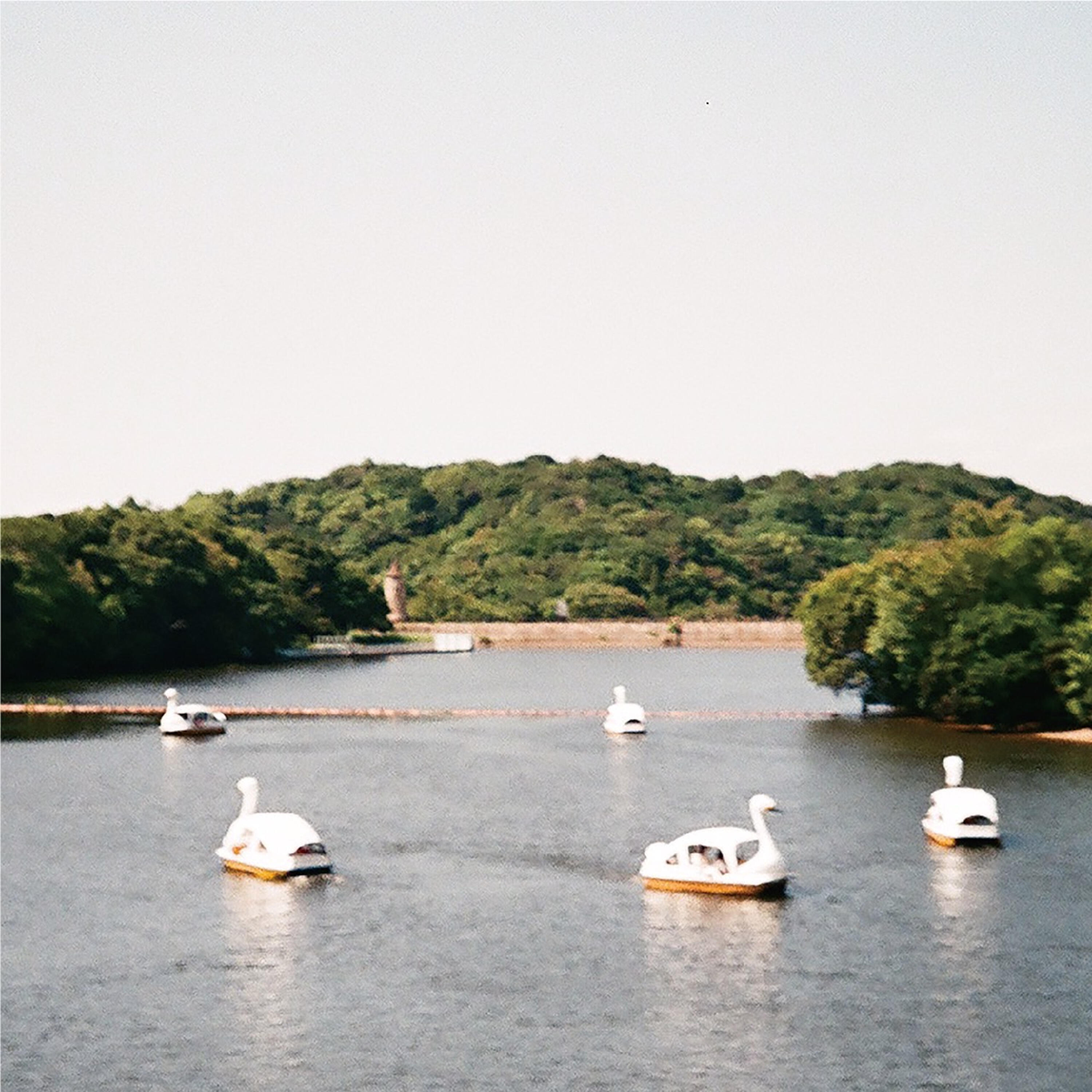 Track Image