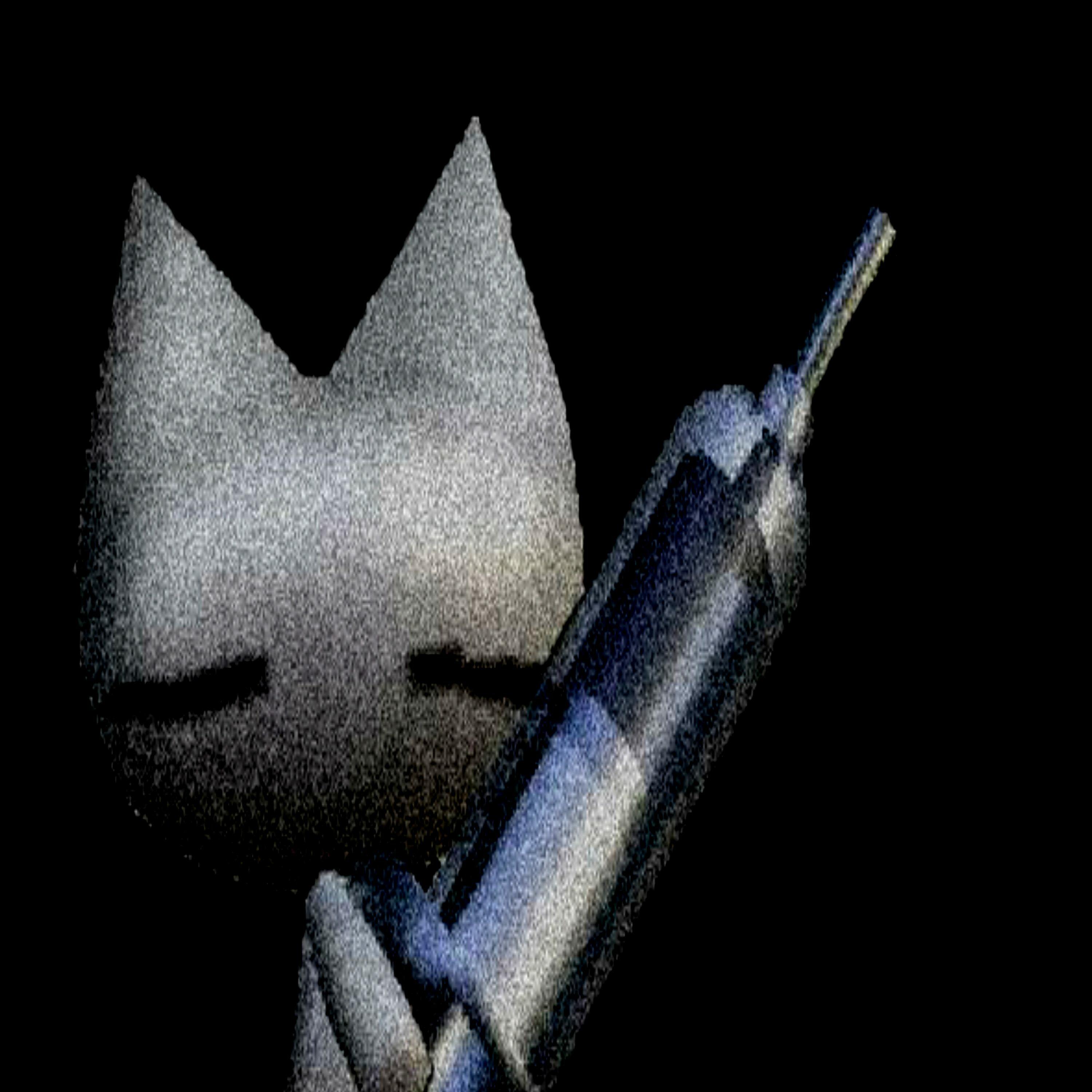 Track Image