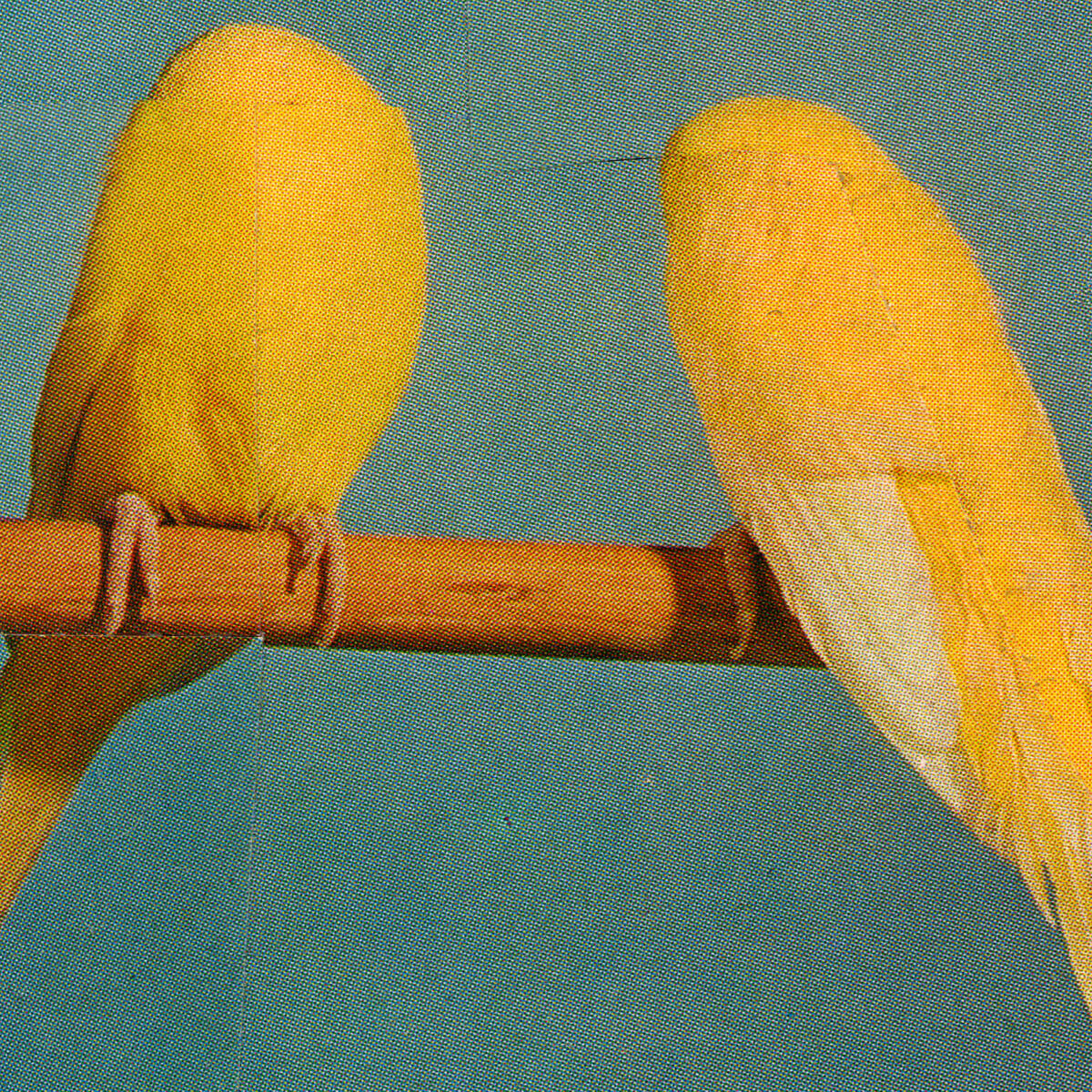 Track Image