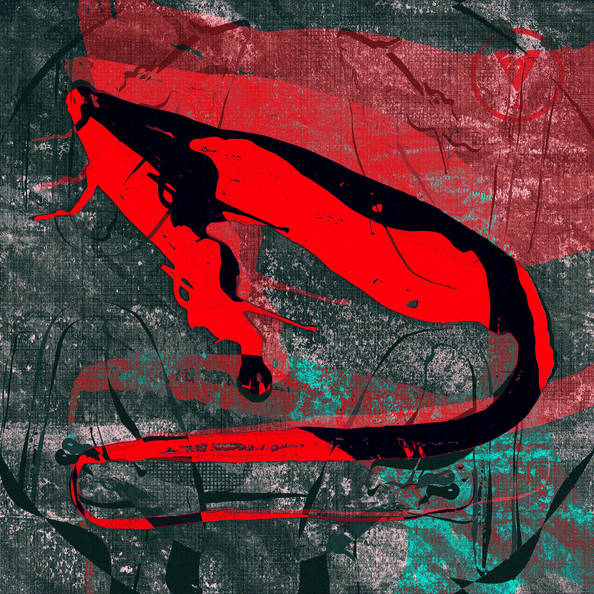 Track Image