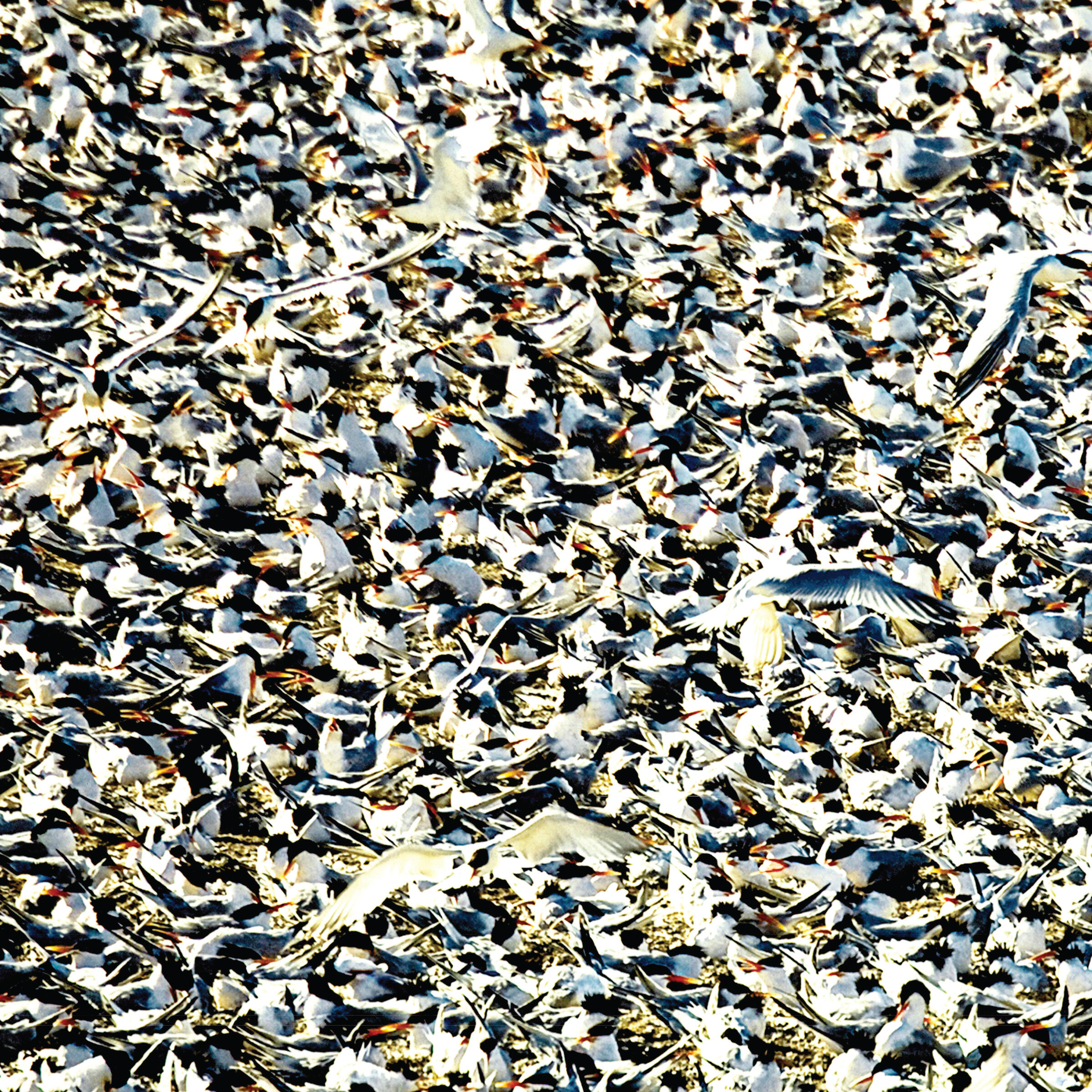 Track Image