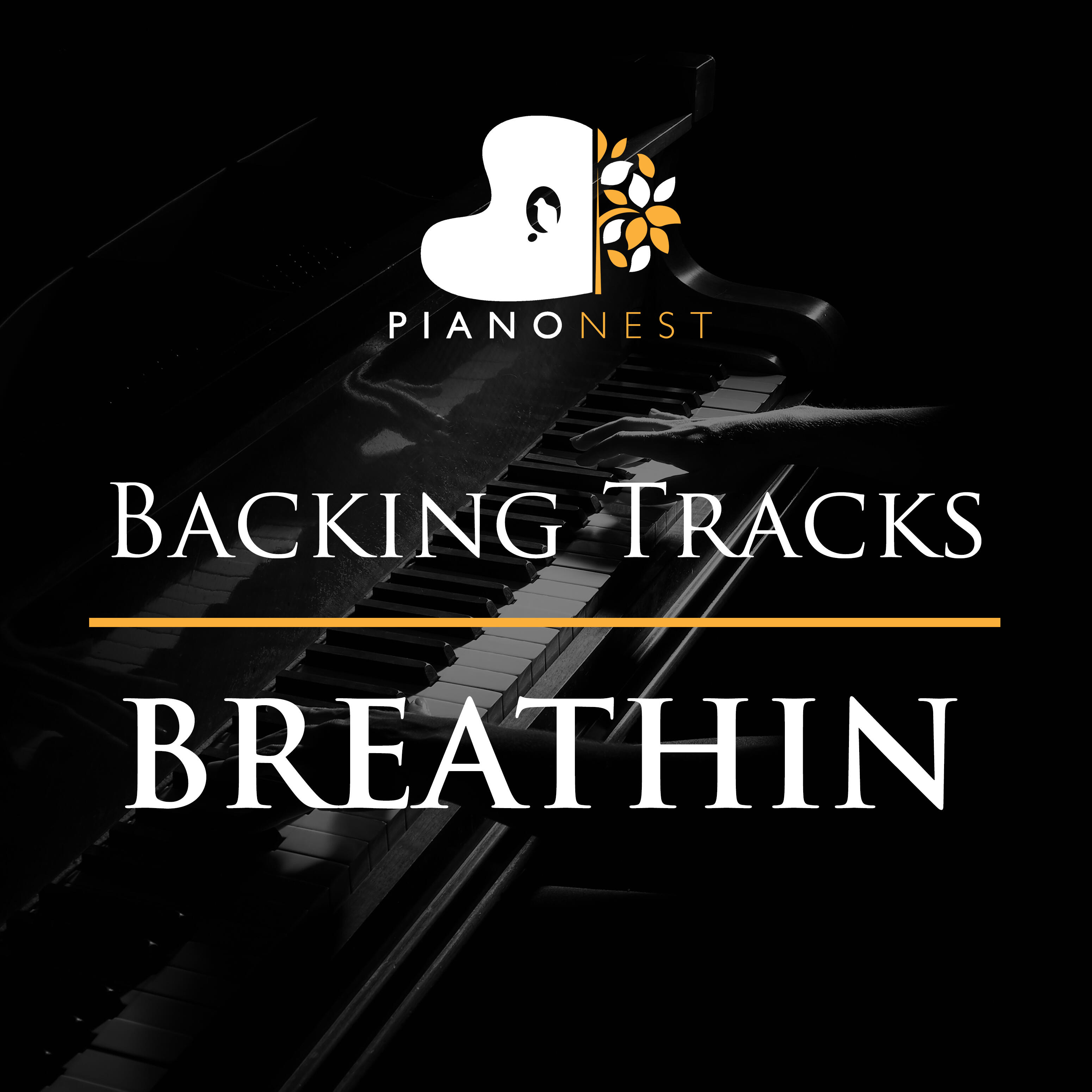 Track Image