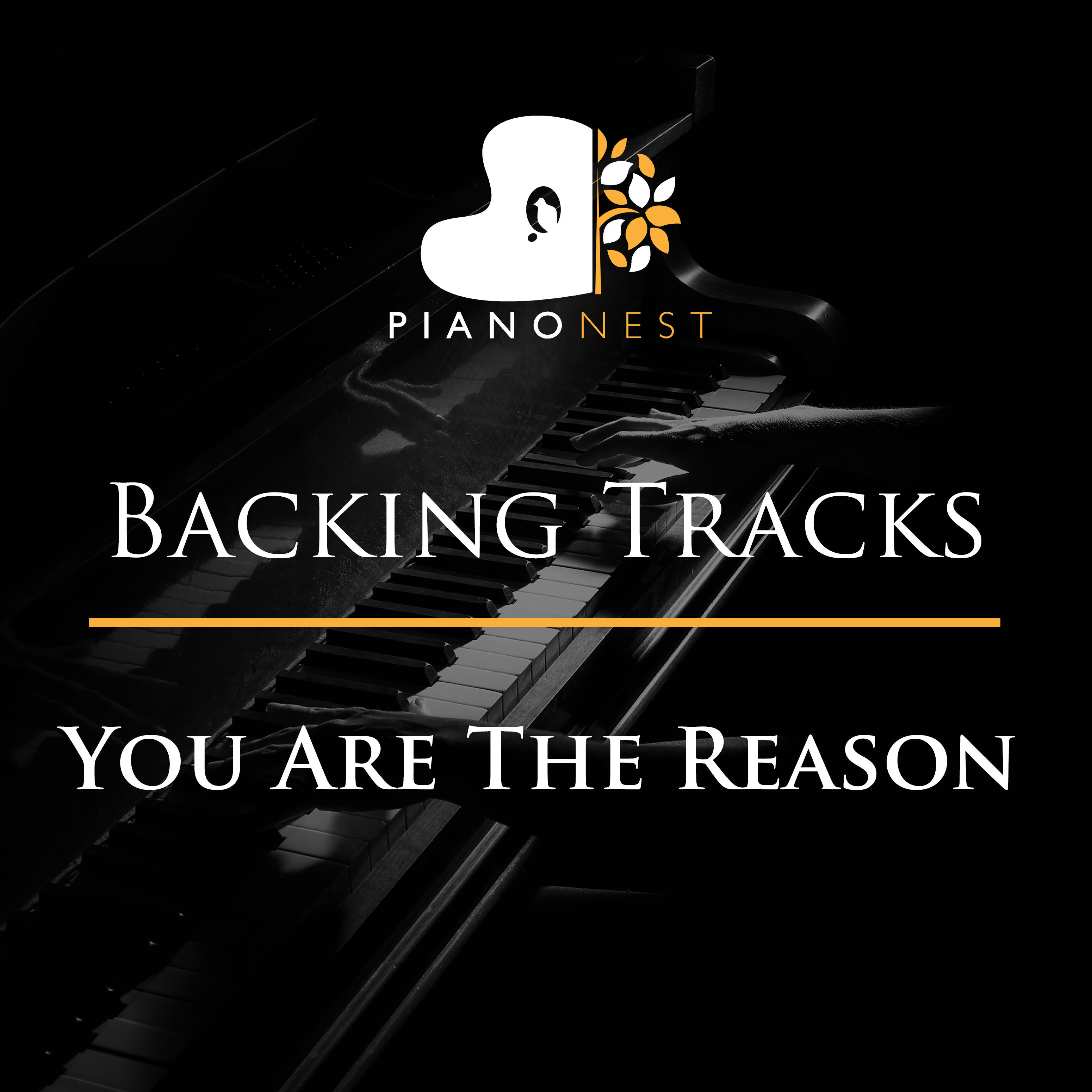 Track Image