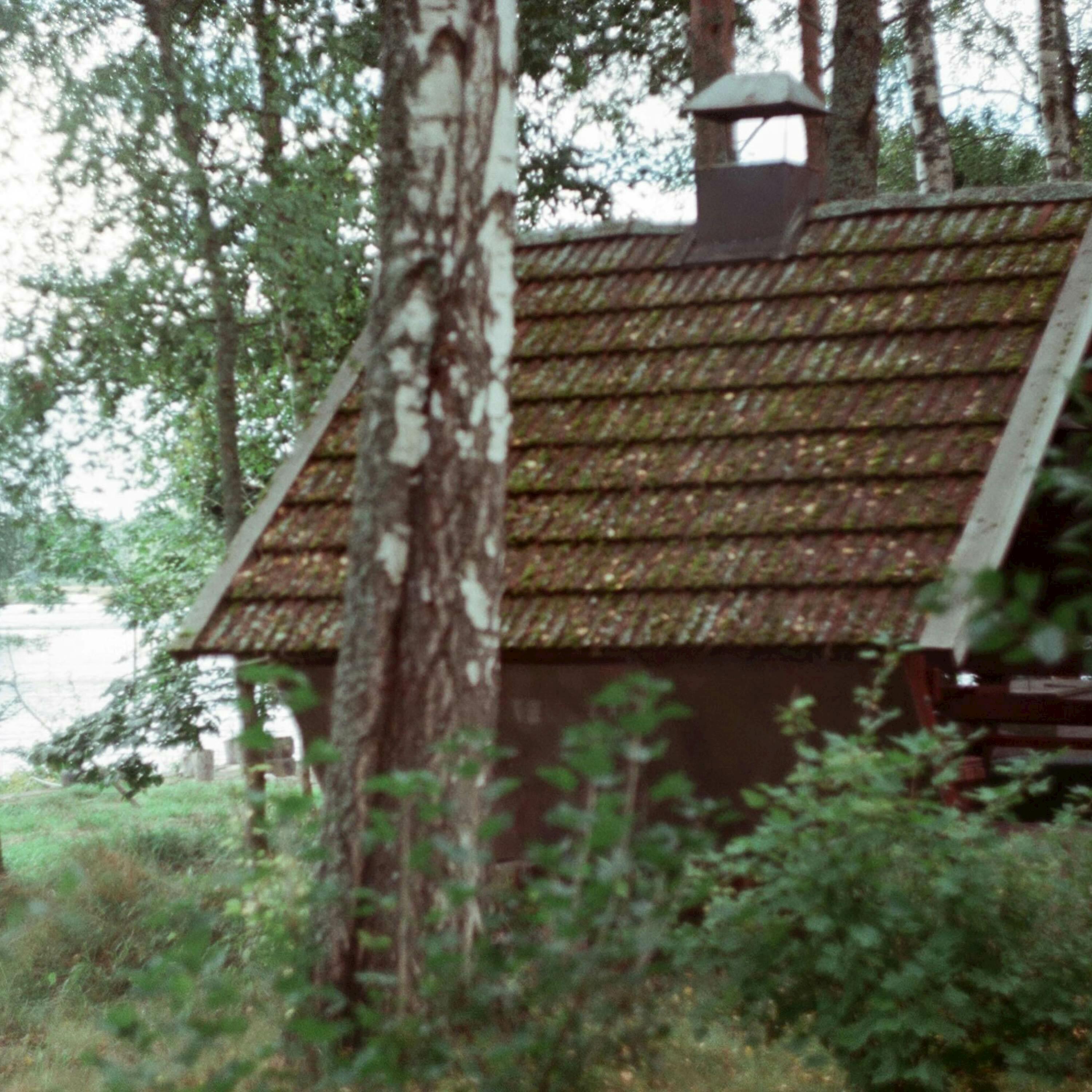 Track Image
