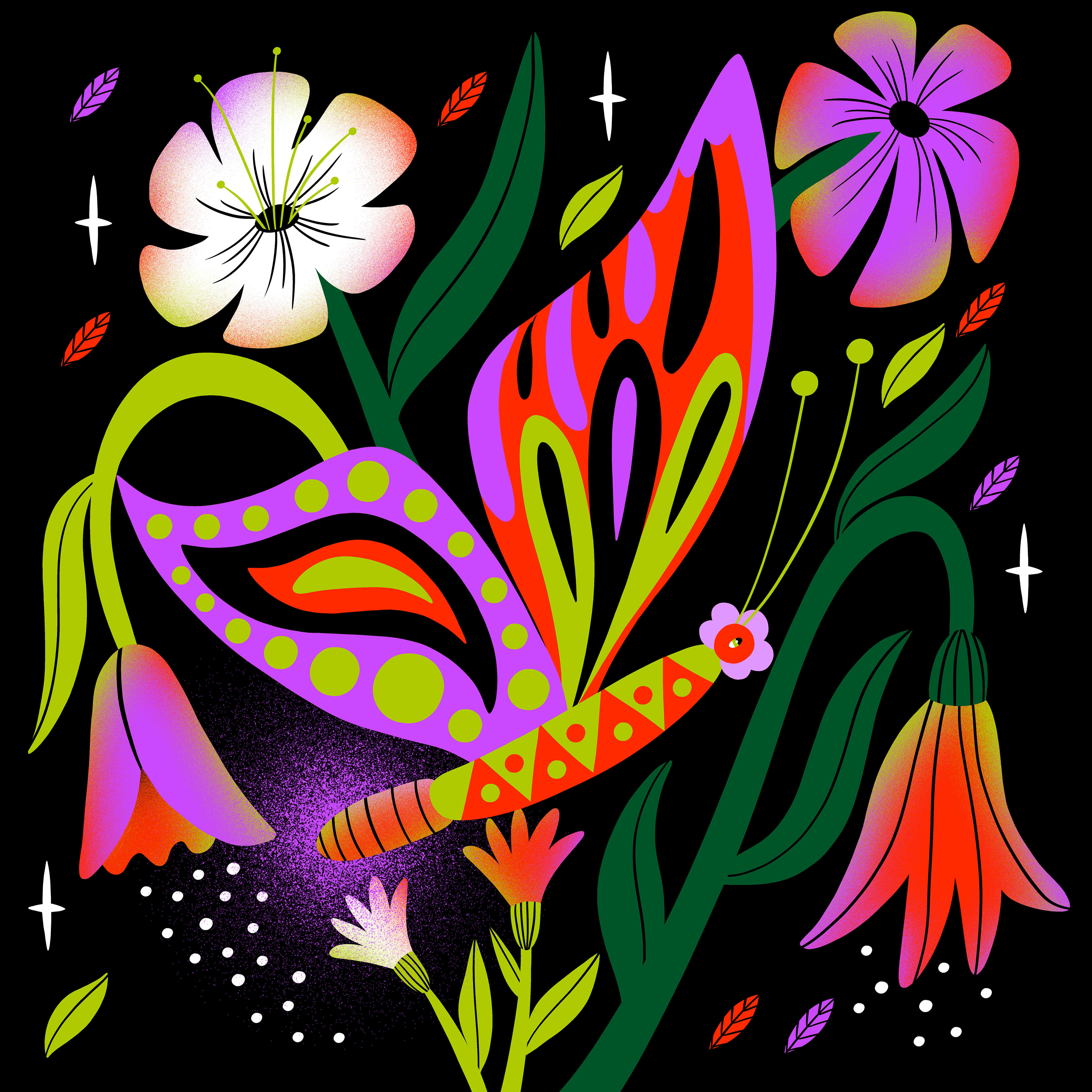 Track Image
