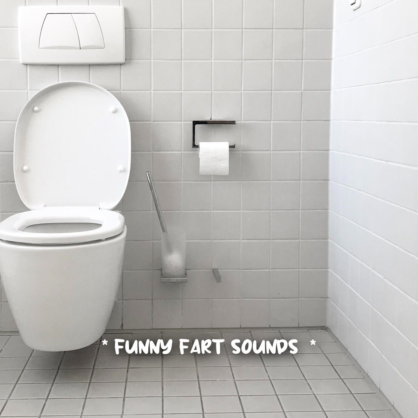 Fart Sound Effect, Diarrhea Fart Sound