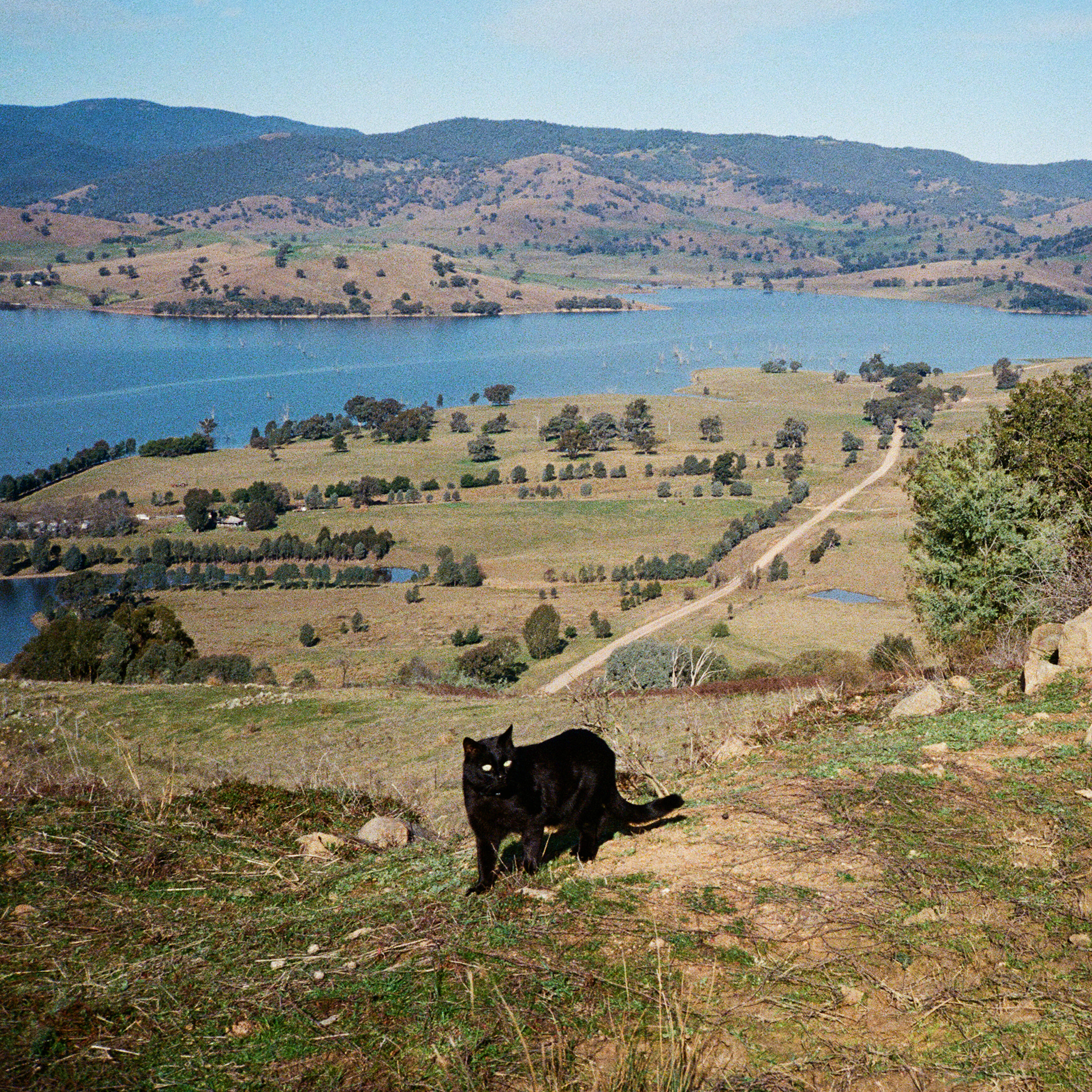 Track Image