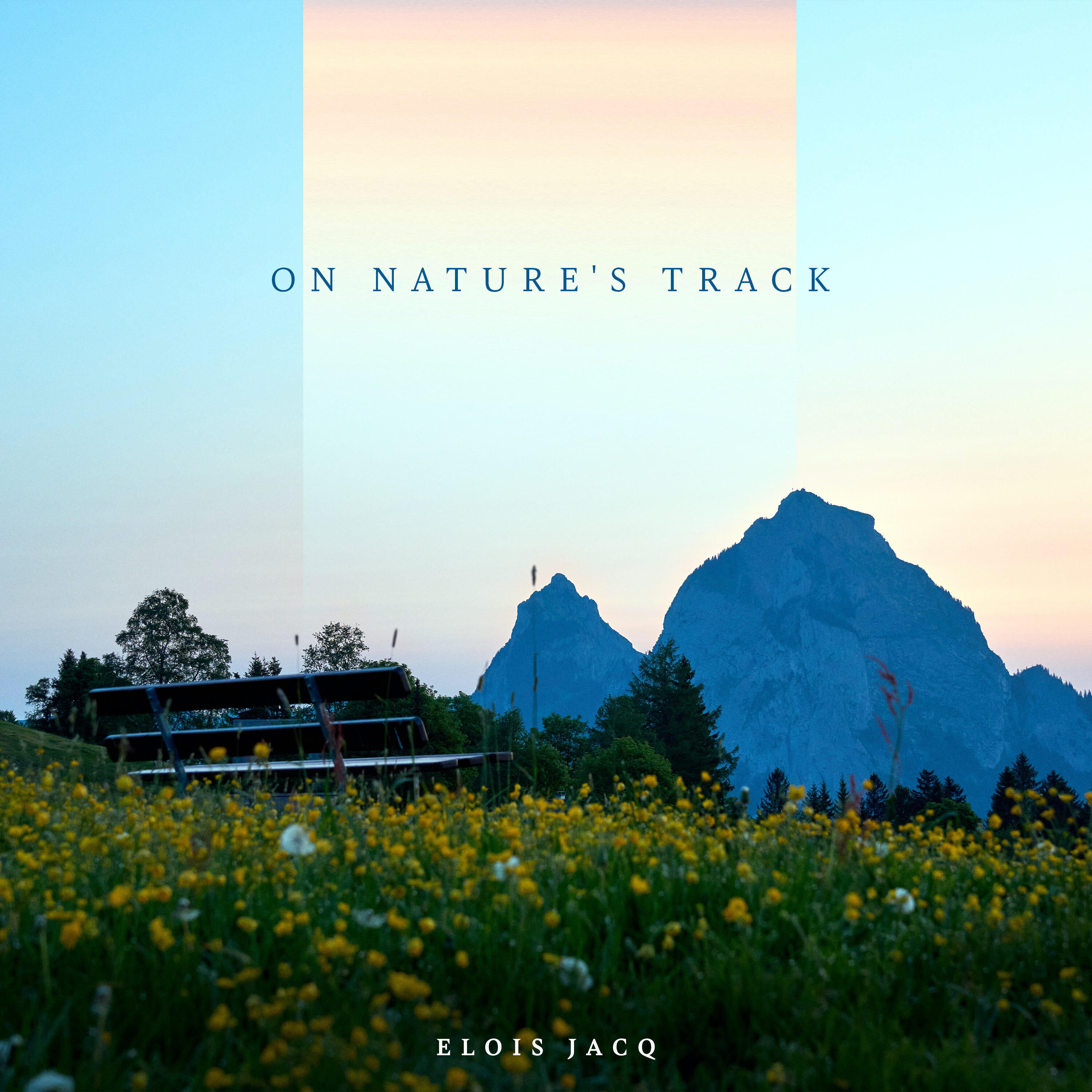 Track Image
