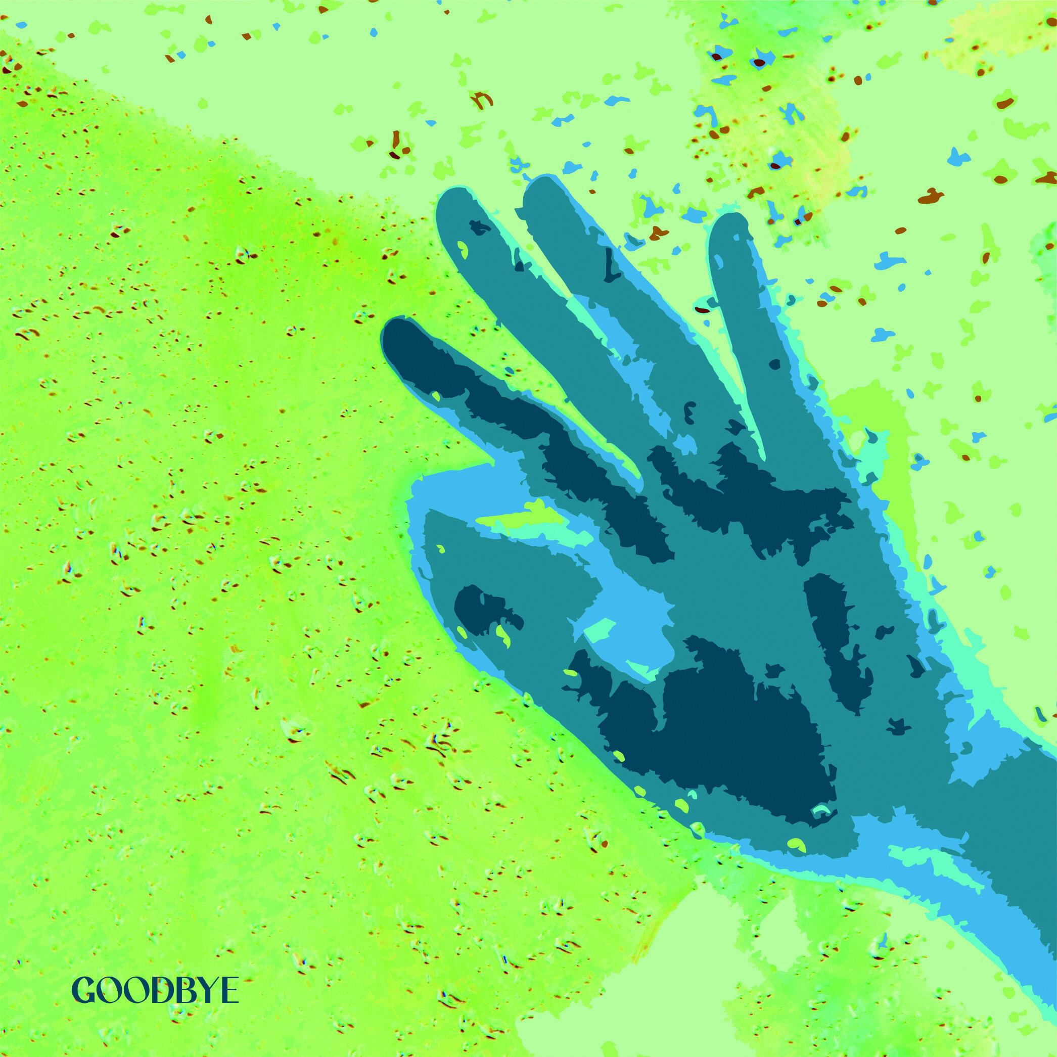 Track Image