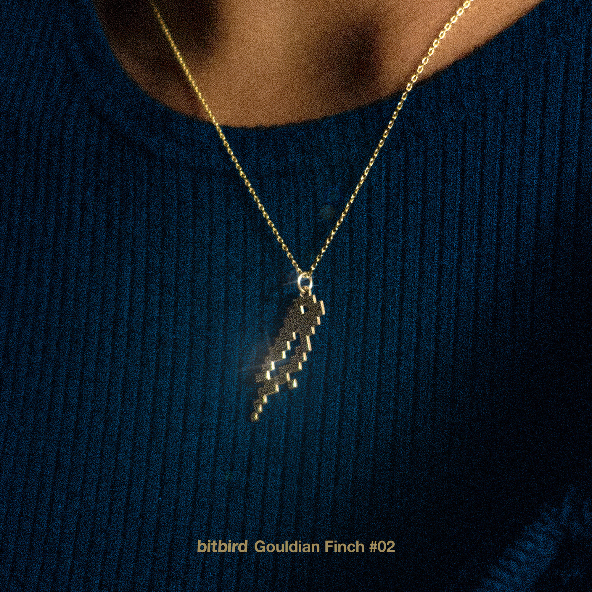 Track Image