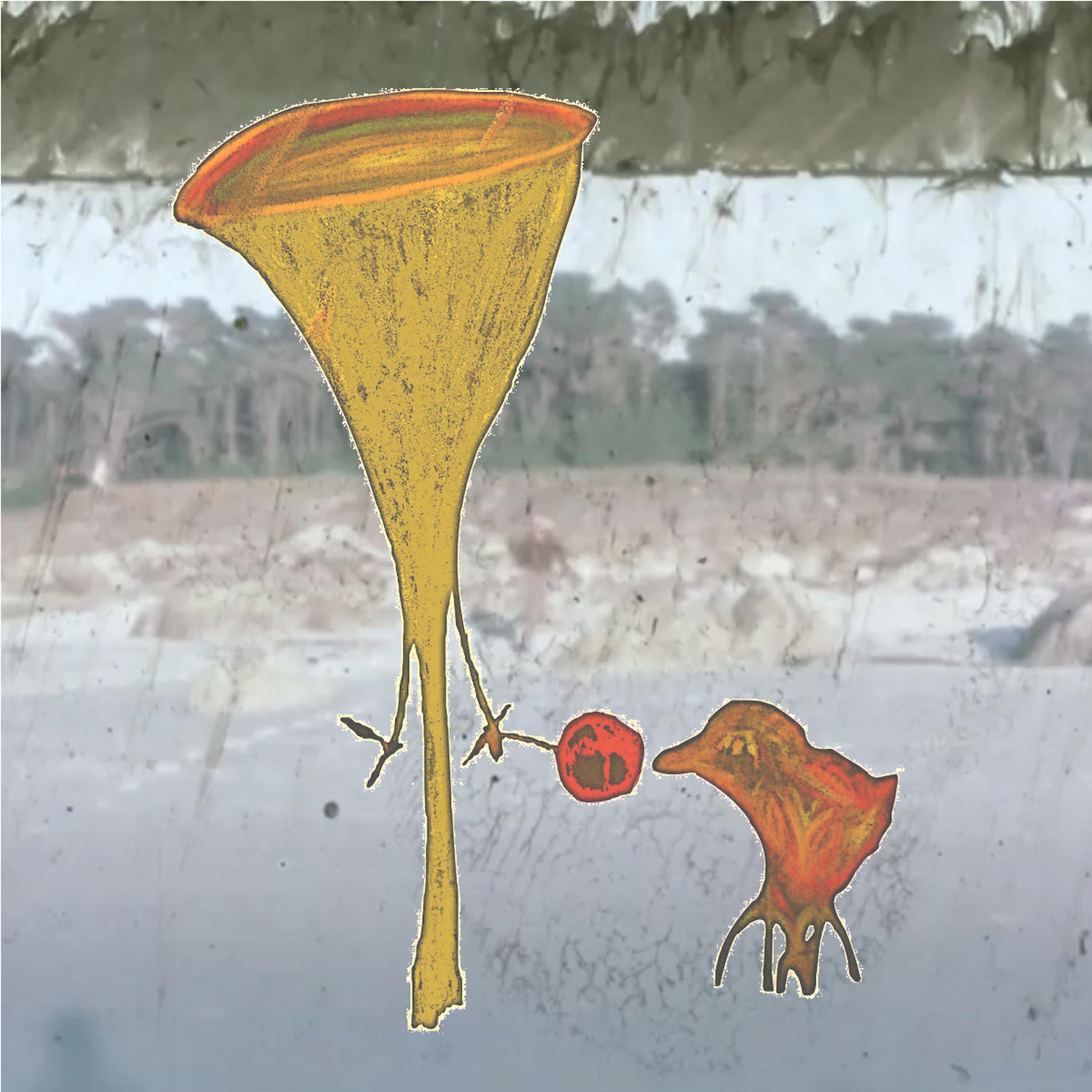 Track Image