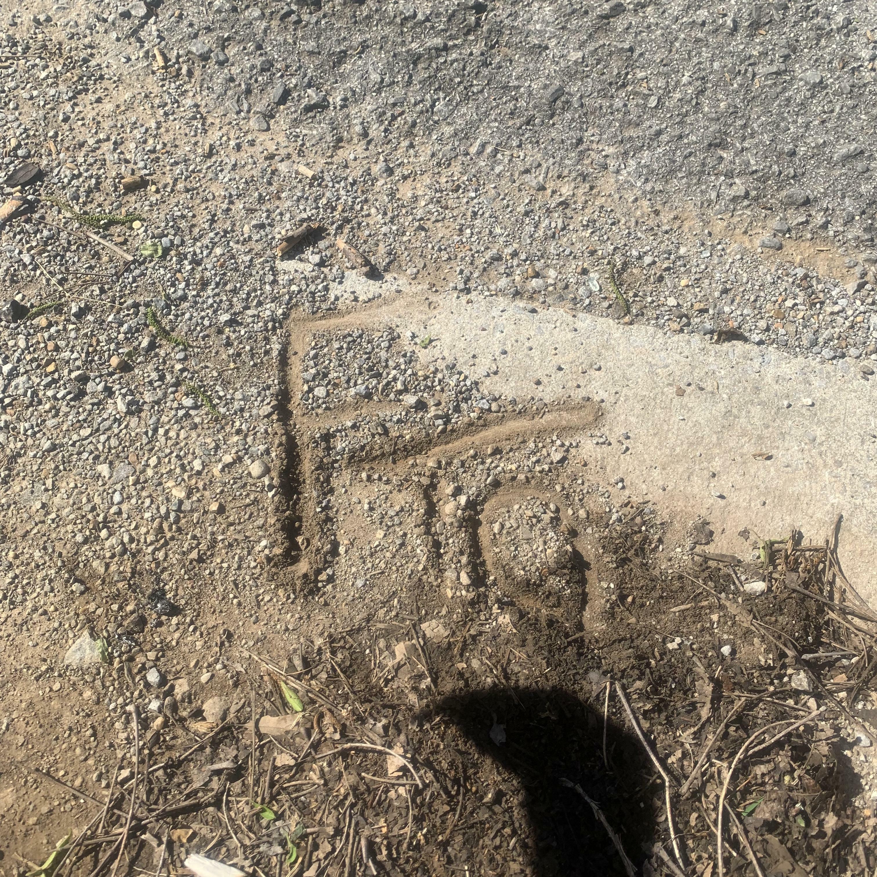 Track Image
