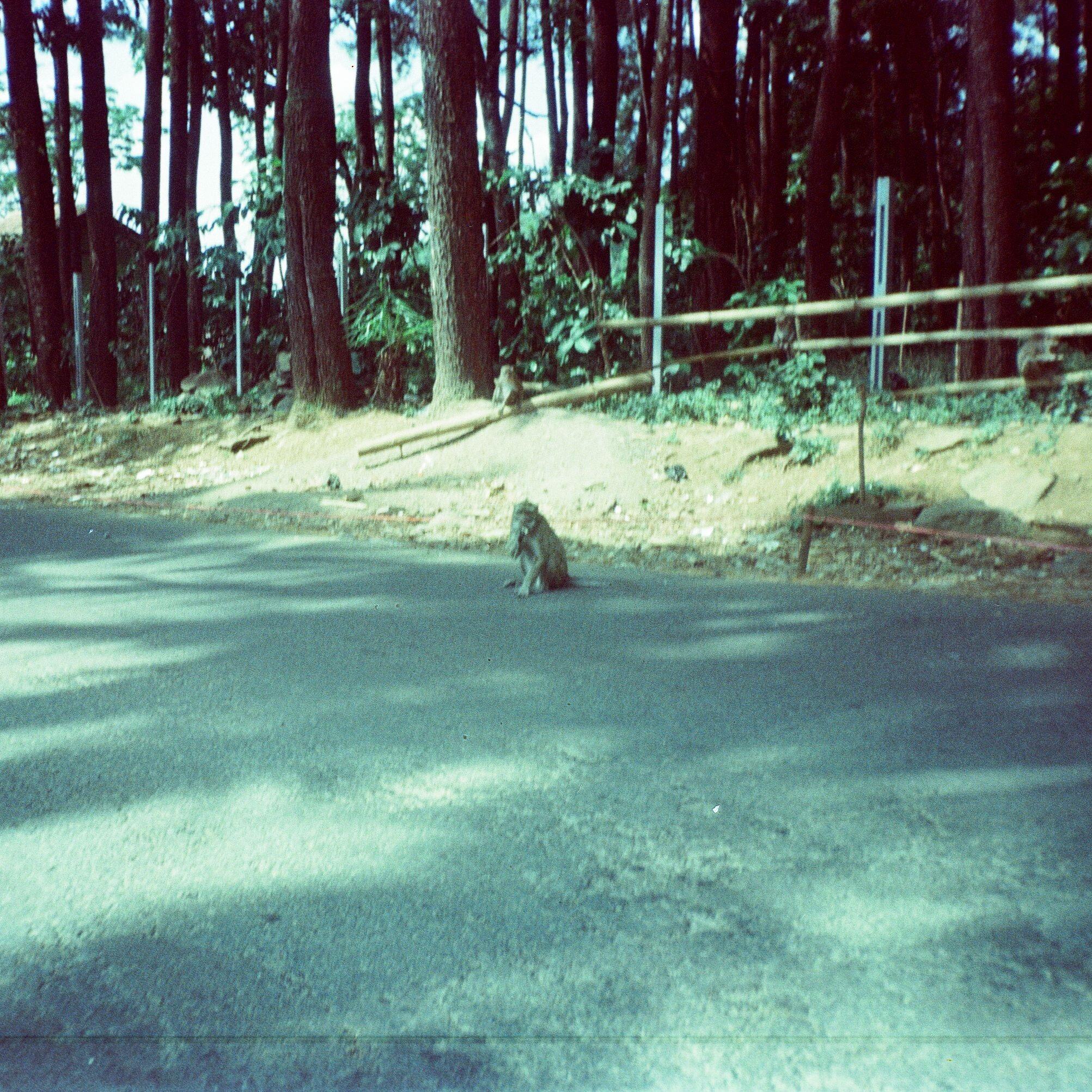 Track Image
