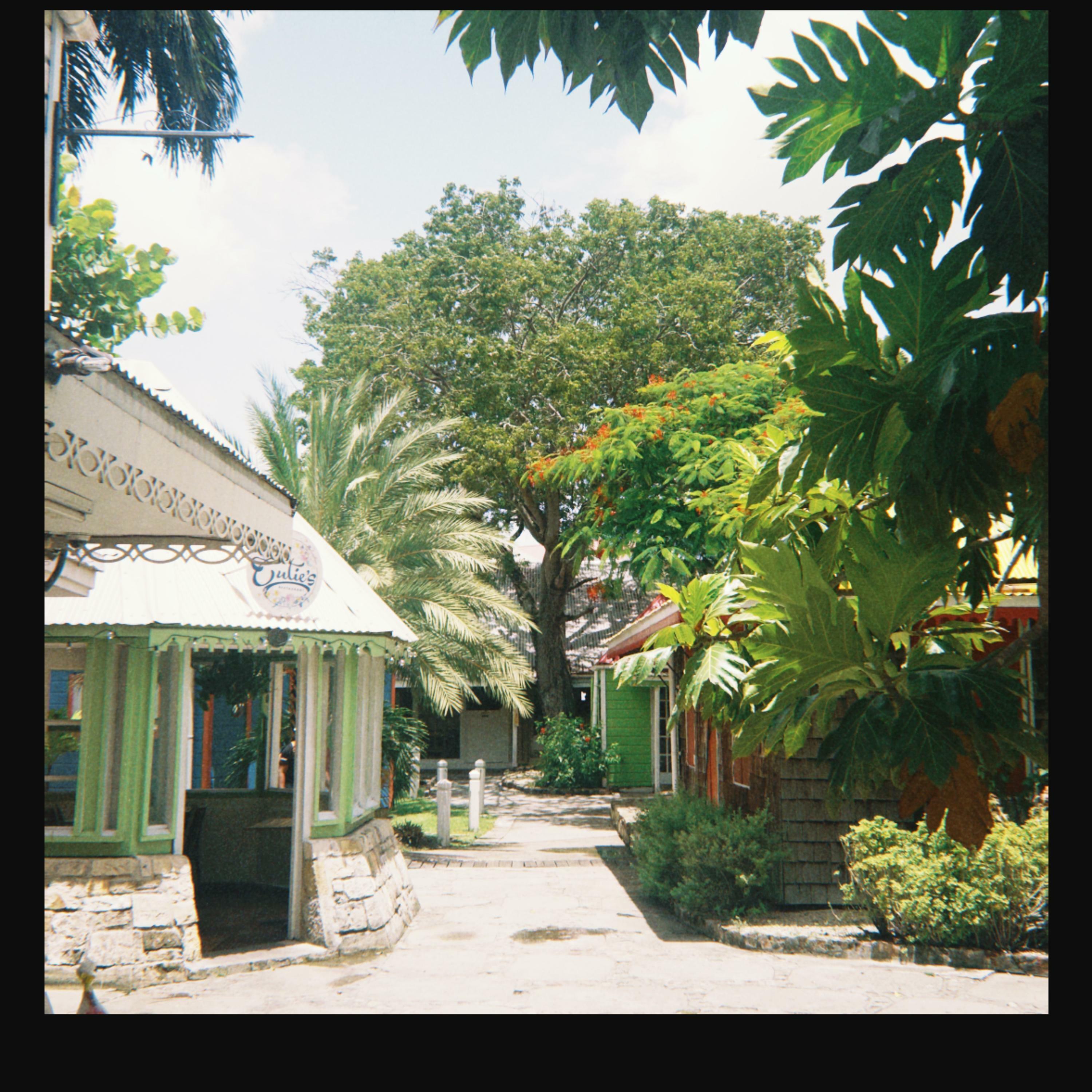 Track Image
