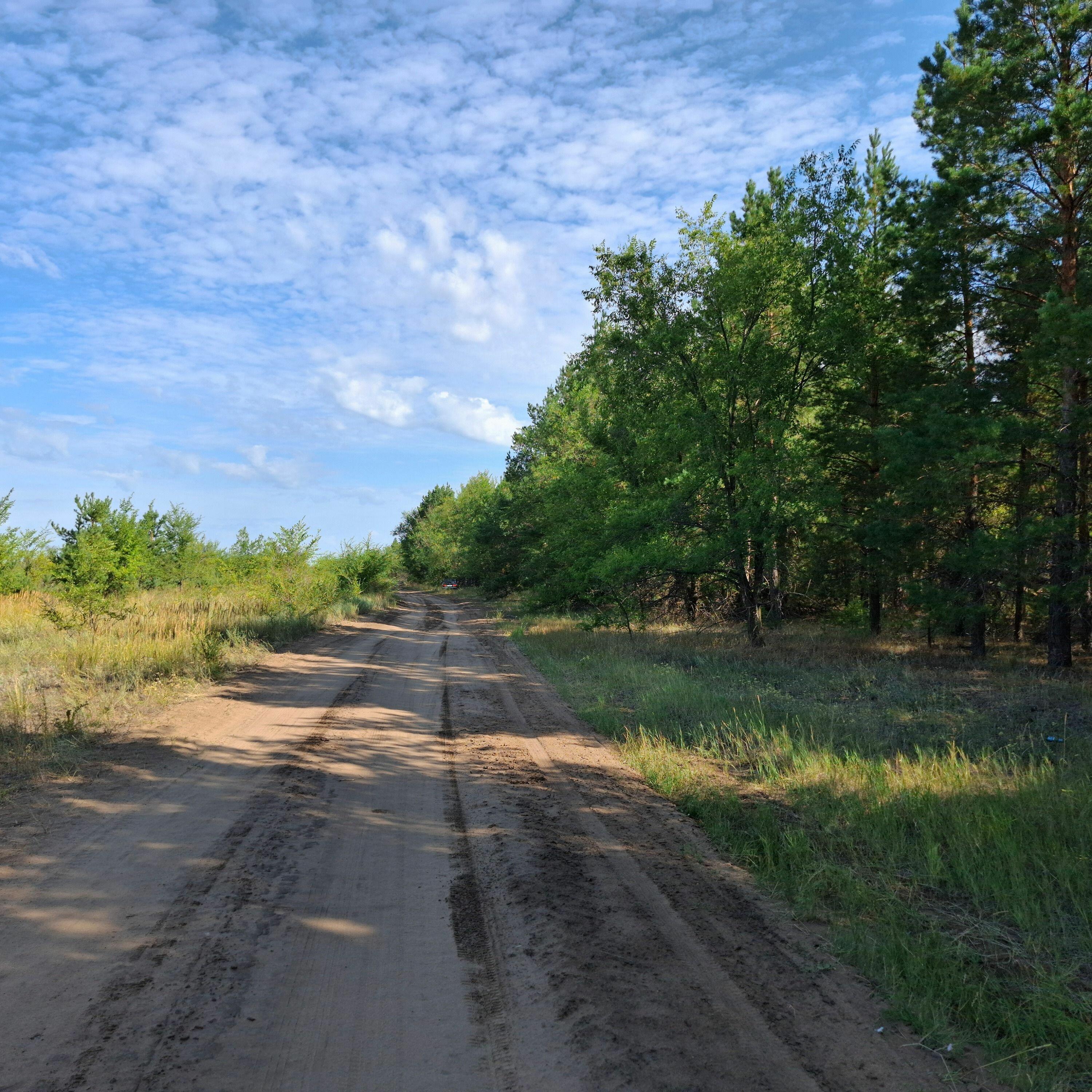 Track Image