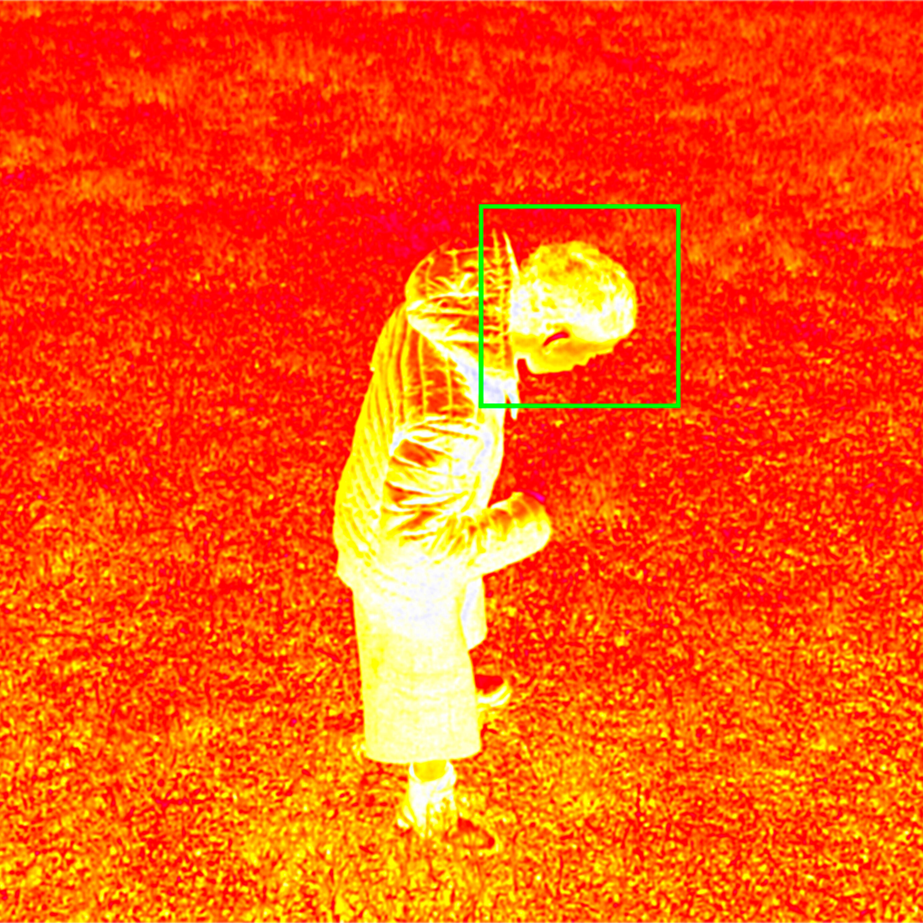 Track Image