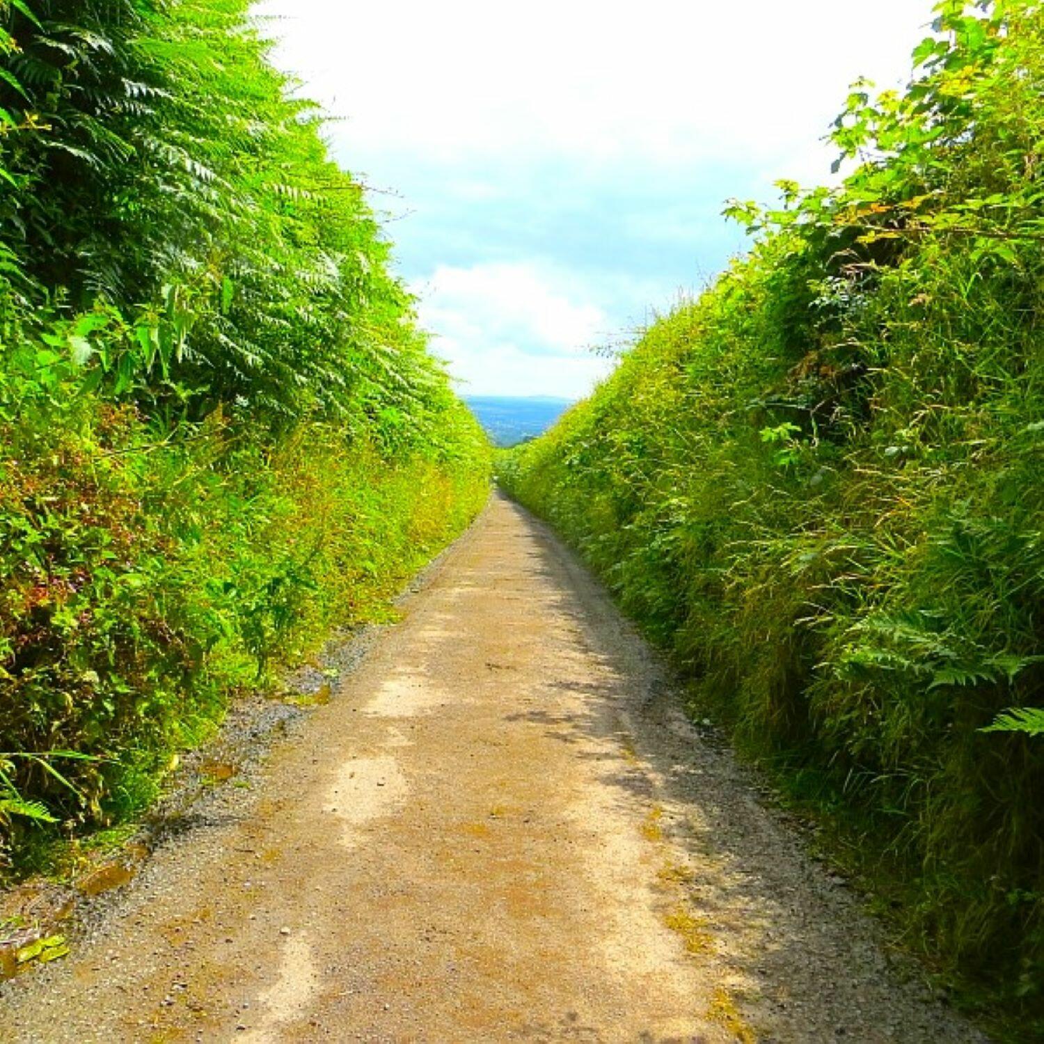 Track Image