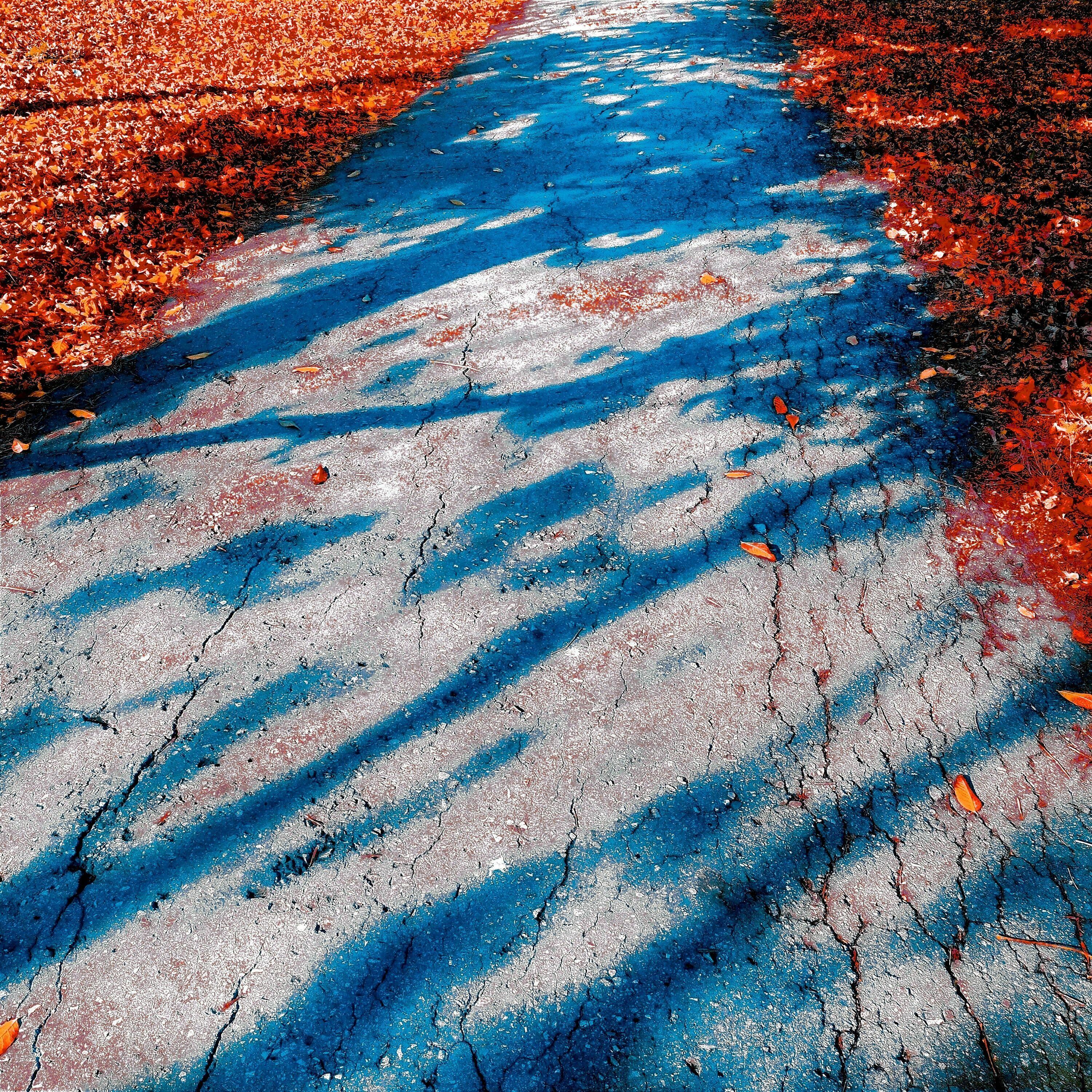Track Image
