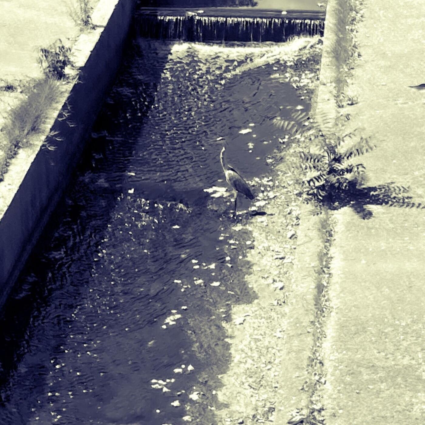 Track Image