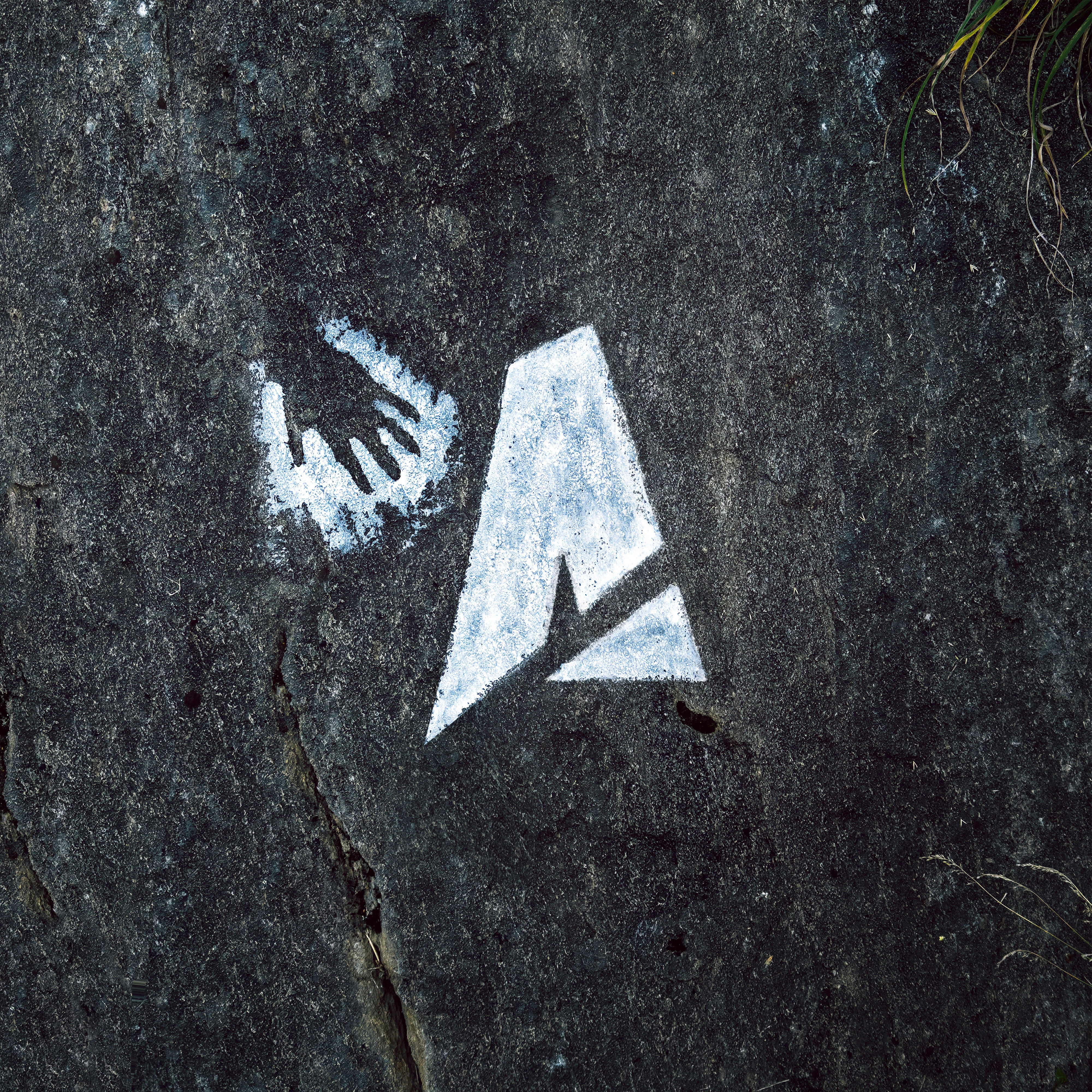Track Image