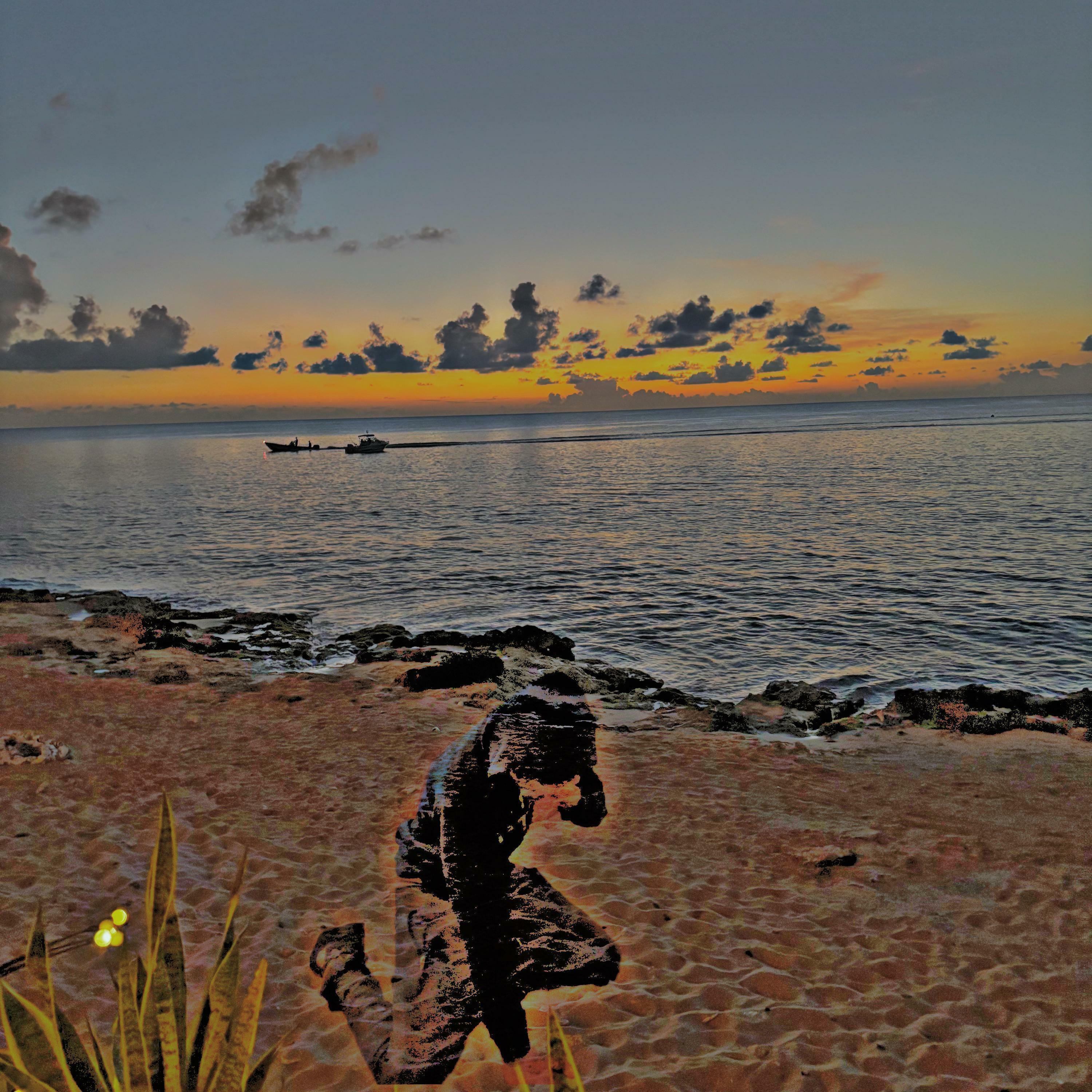 Track Image