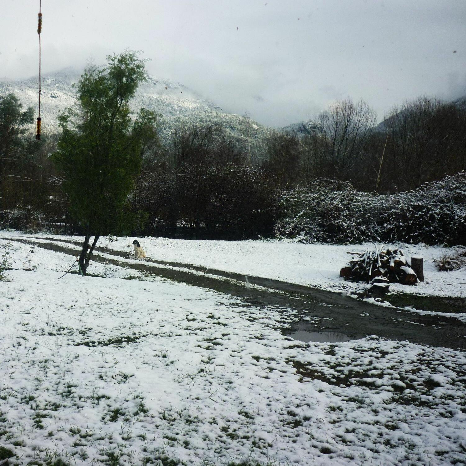 Track Image