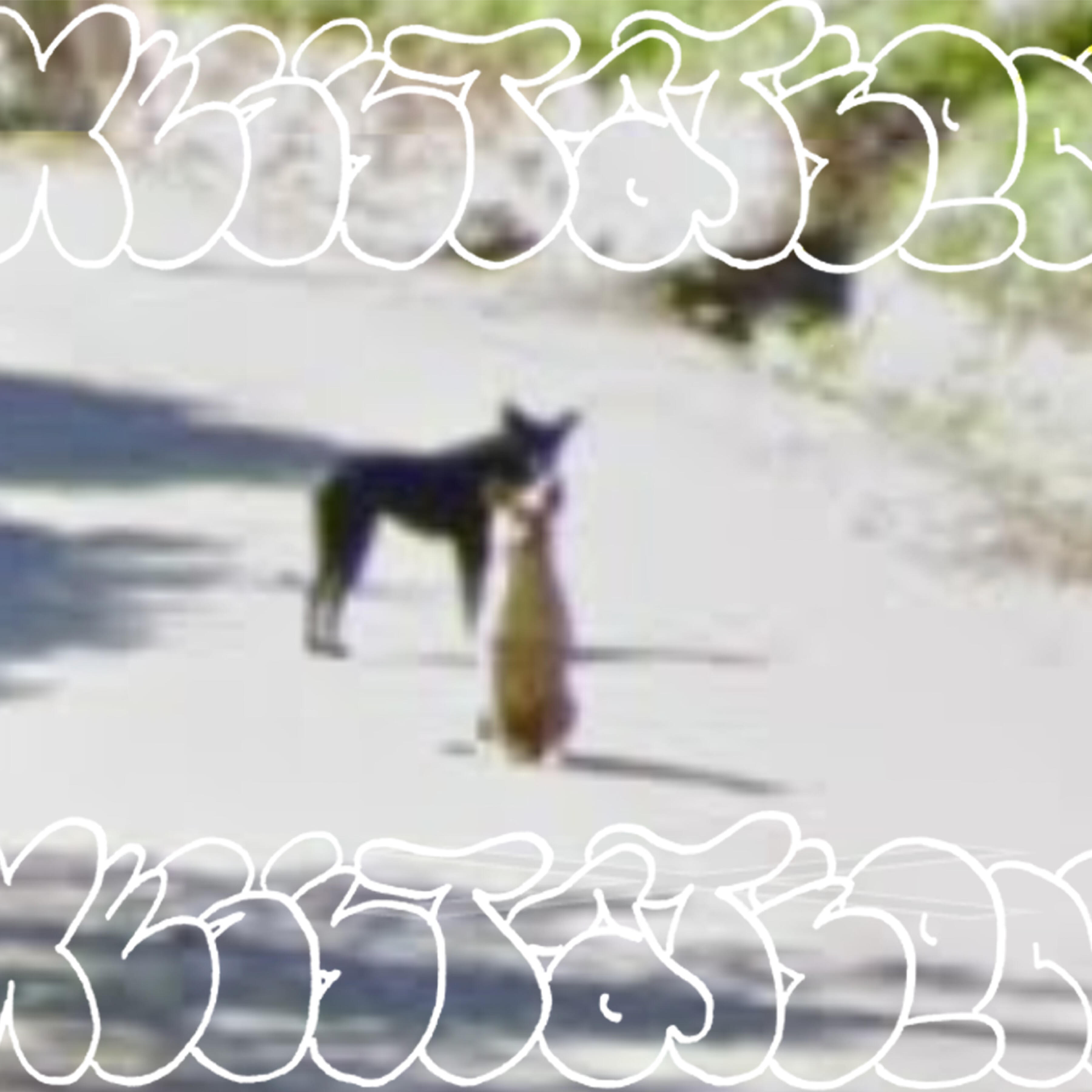 Track Image