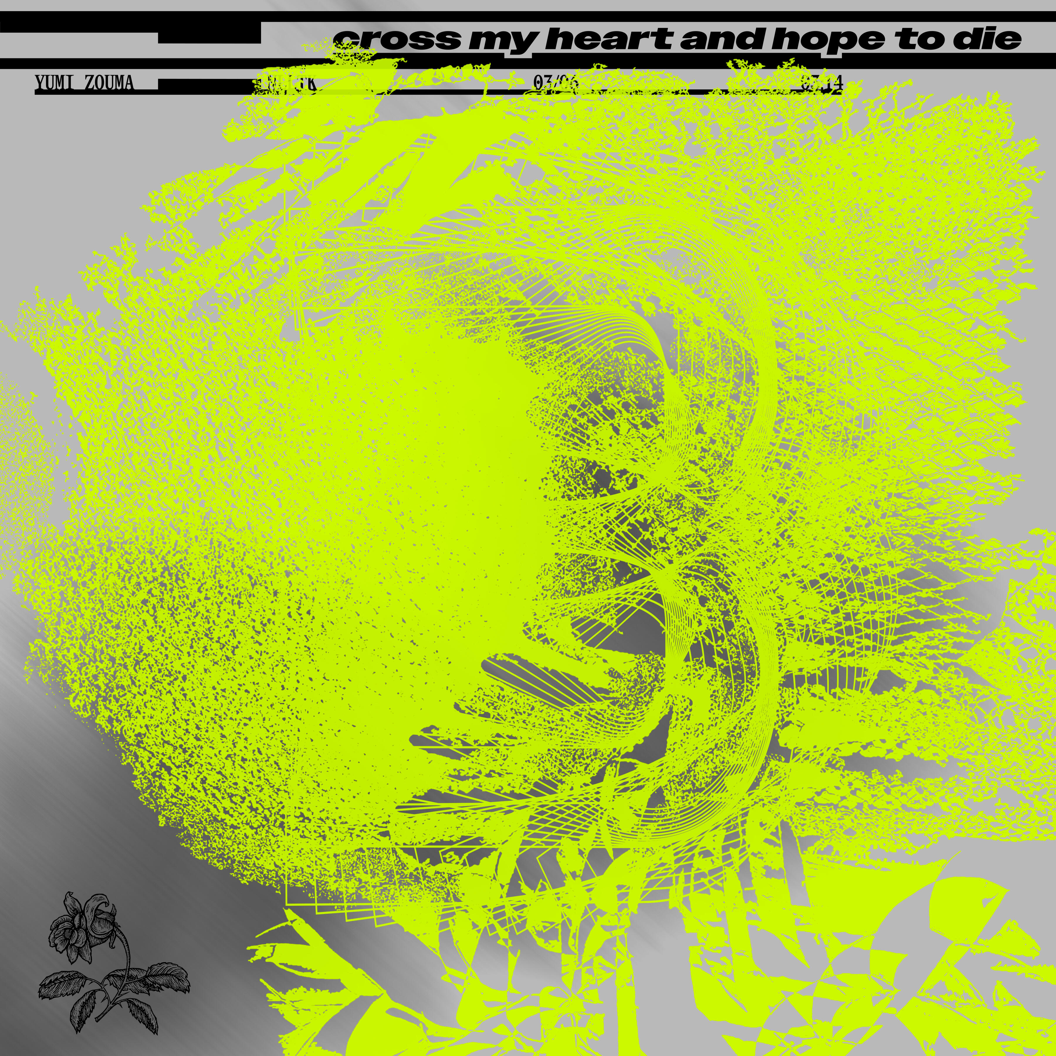 Track Image