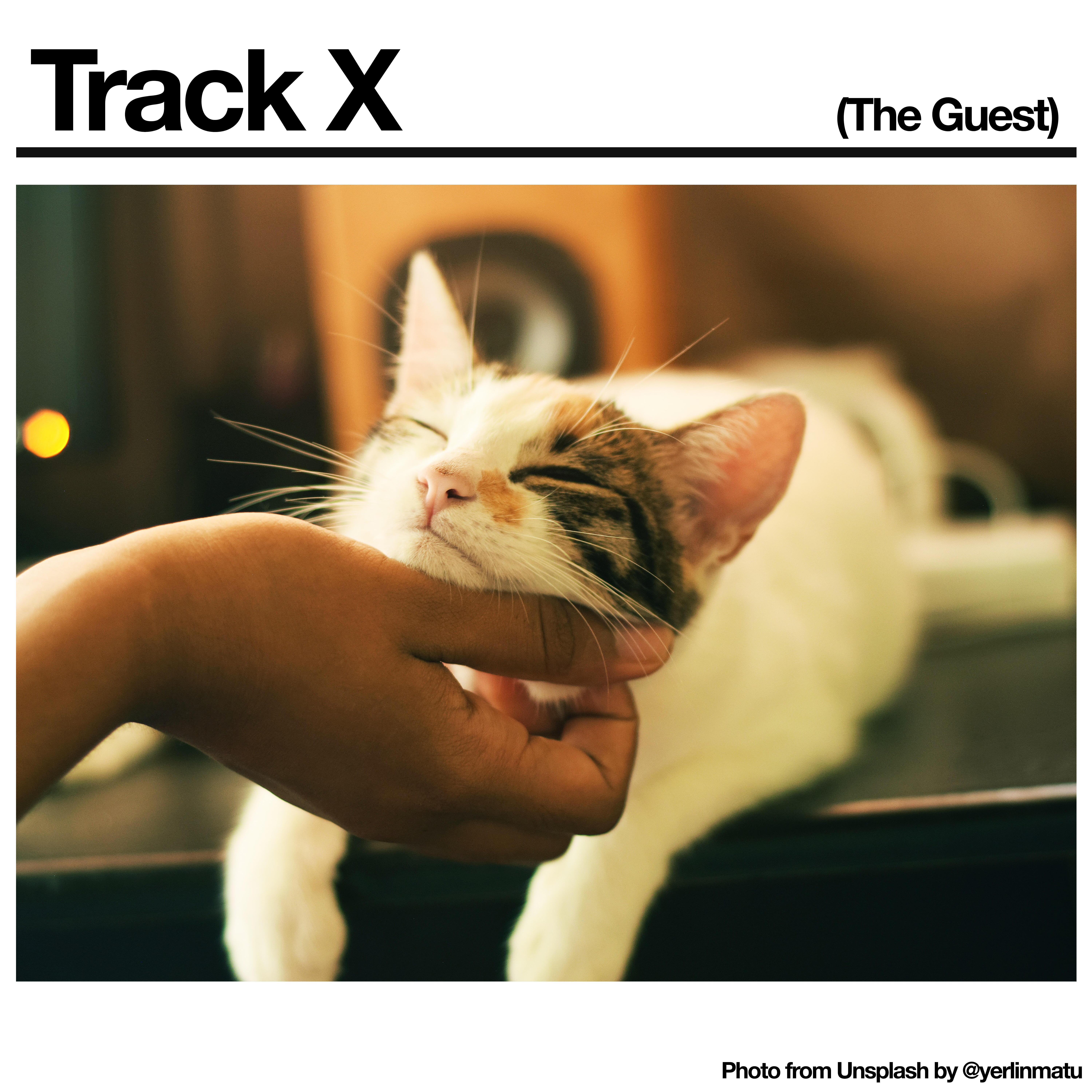 Track Image