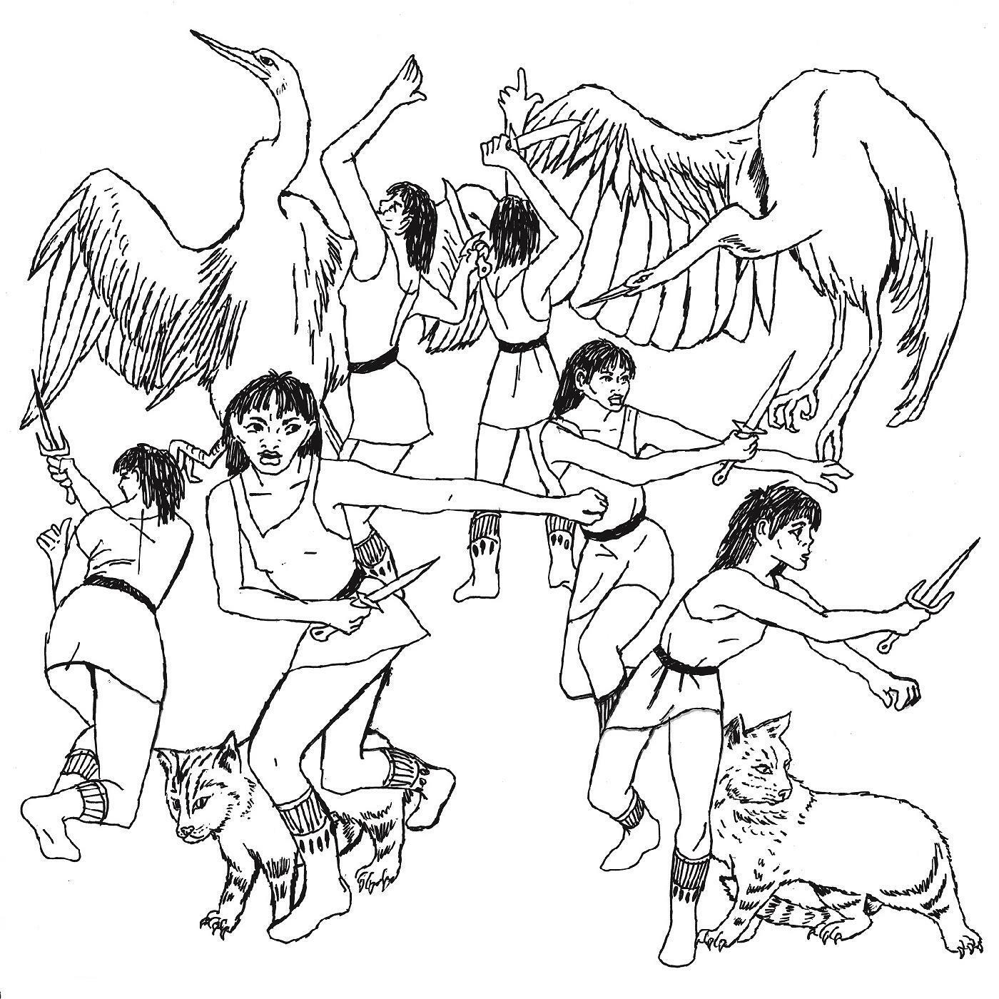 Track Image